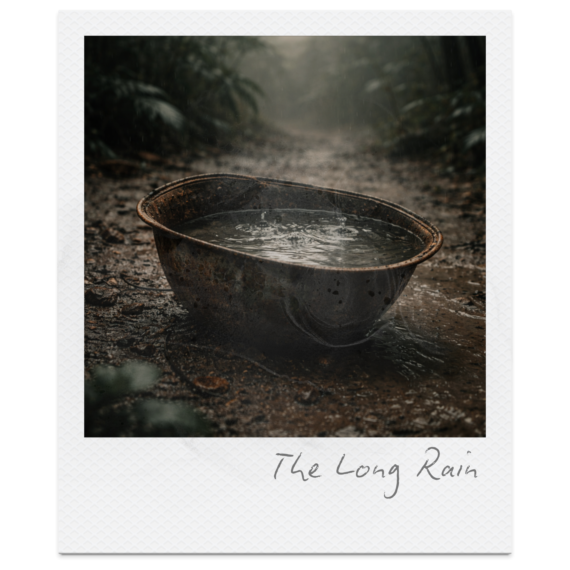 A rusty bowl on a muddy path in the rain with water inside, surrounded by lush green plants and foggy atmosphere, titled 'The Long Rain'.