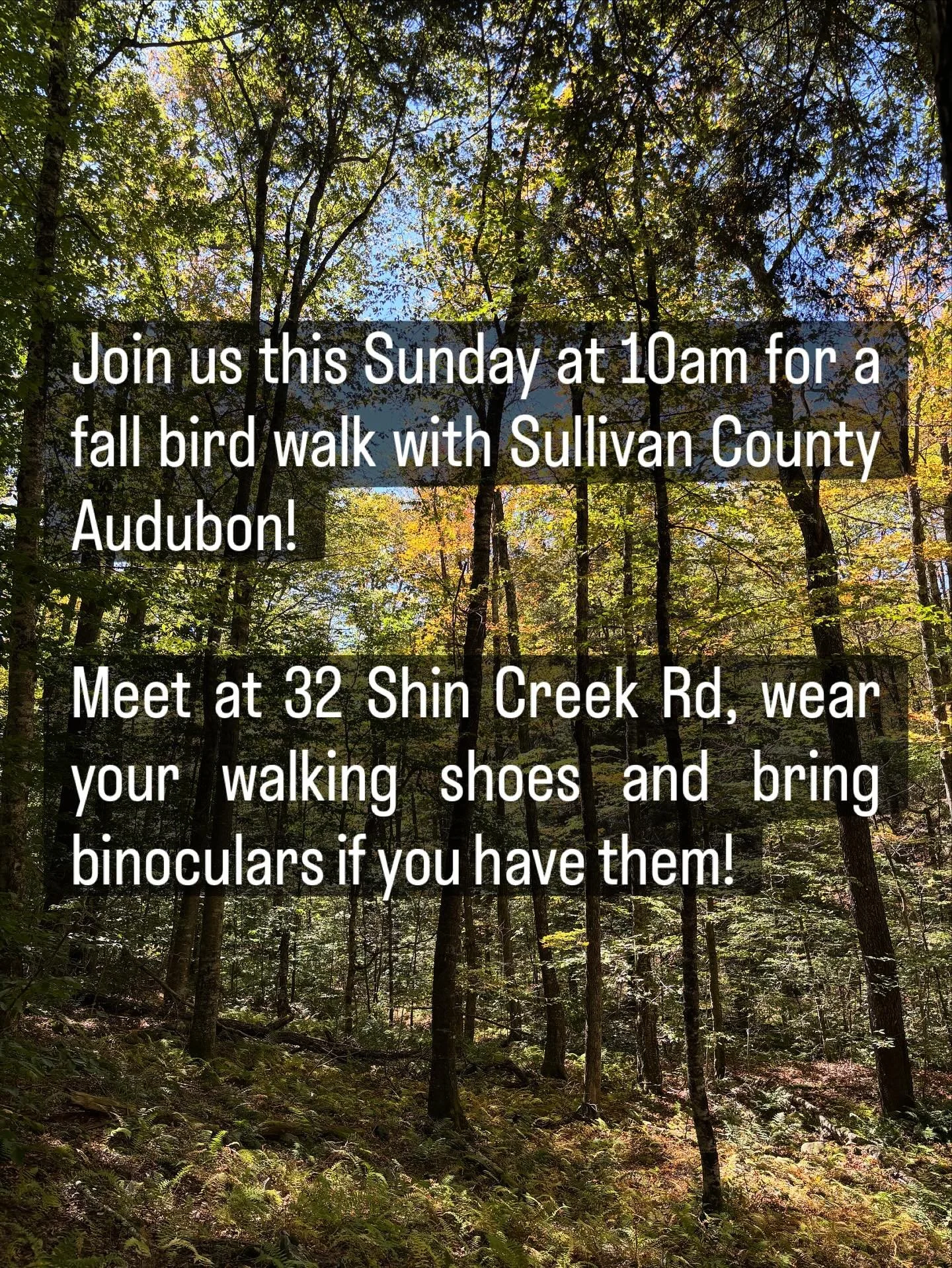 10am Sunday Sept 28, 32 Shin Creek Rd Lew Beach NY, @sullivancatskills  #smalltownbigbackyard