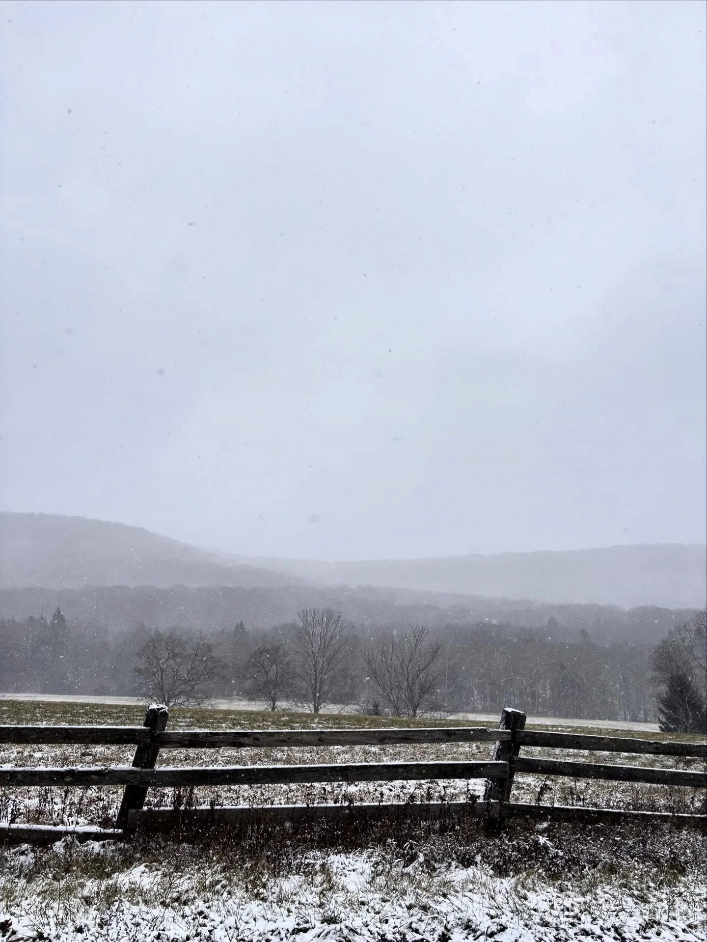 Full November up on Beech Hill Road.