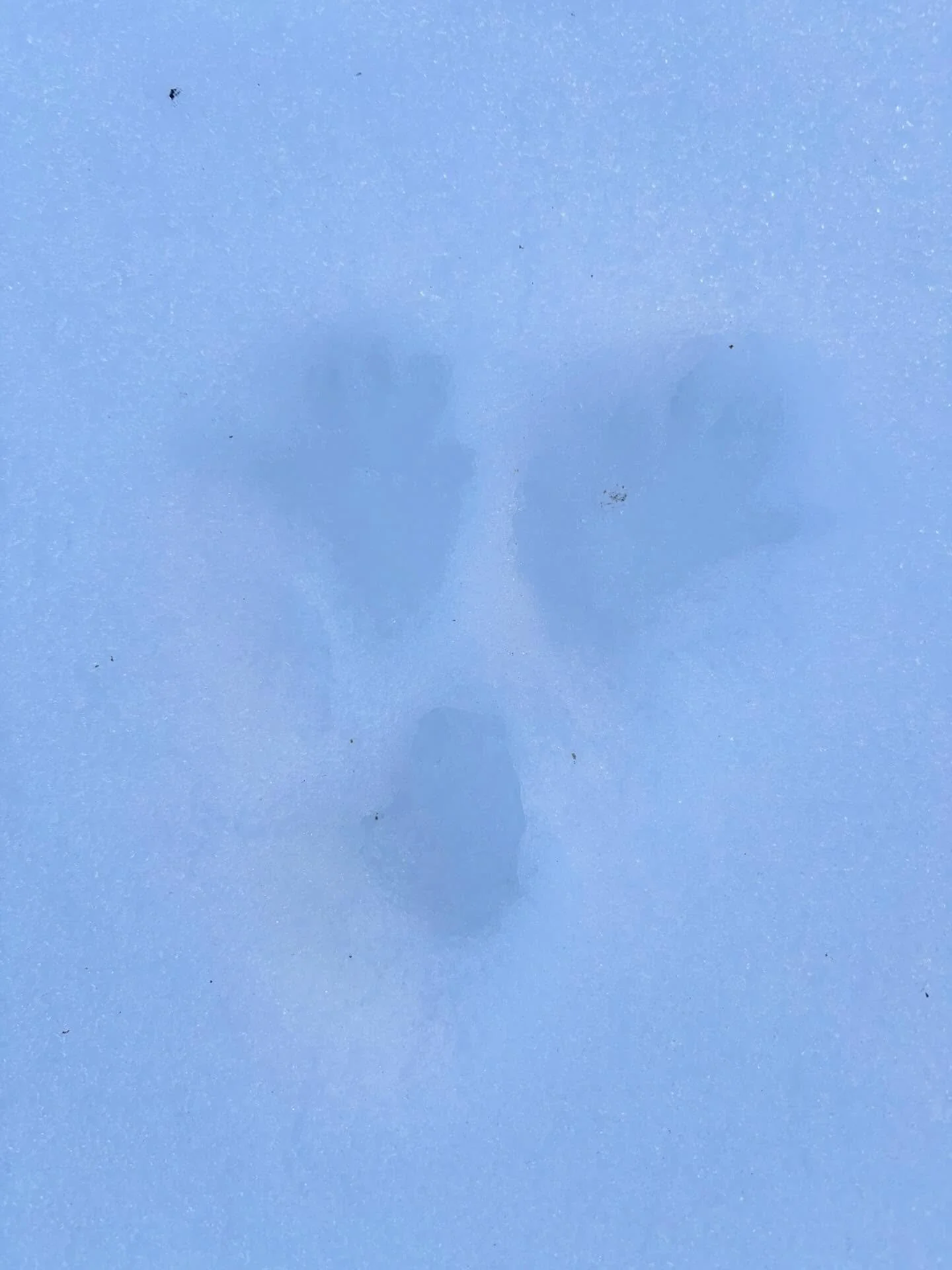 Who&rsquo;s this little guy?