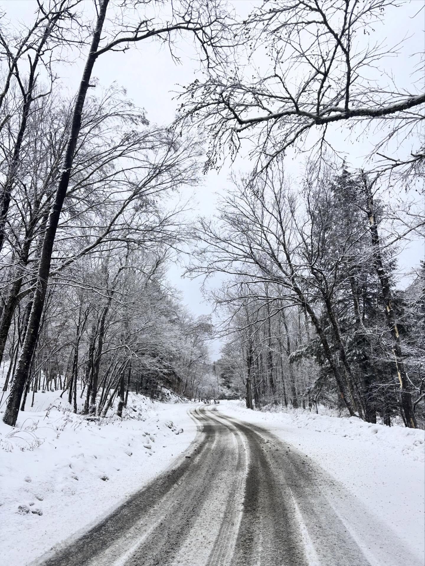 More snow coming this weekend! Drive safe and wax up your skis, people!