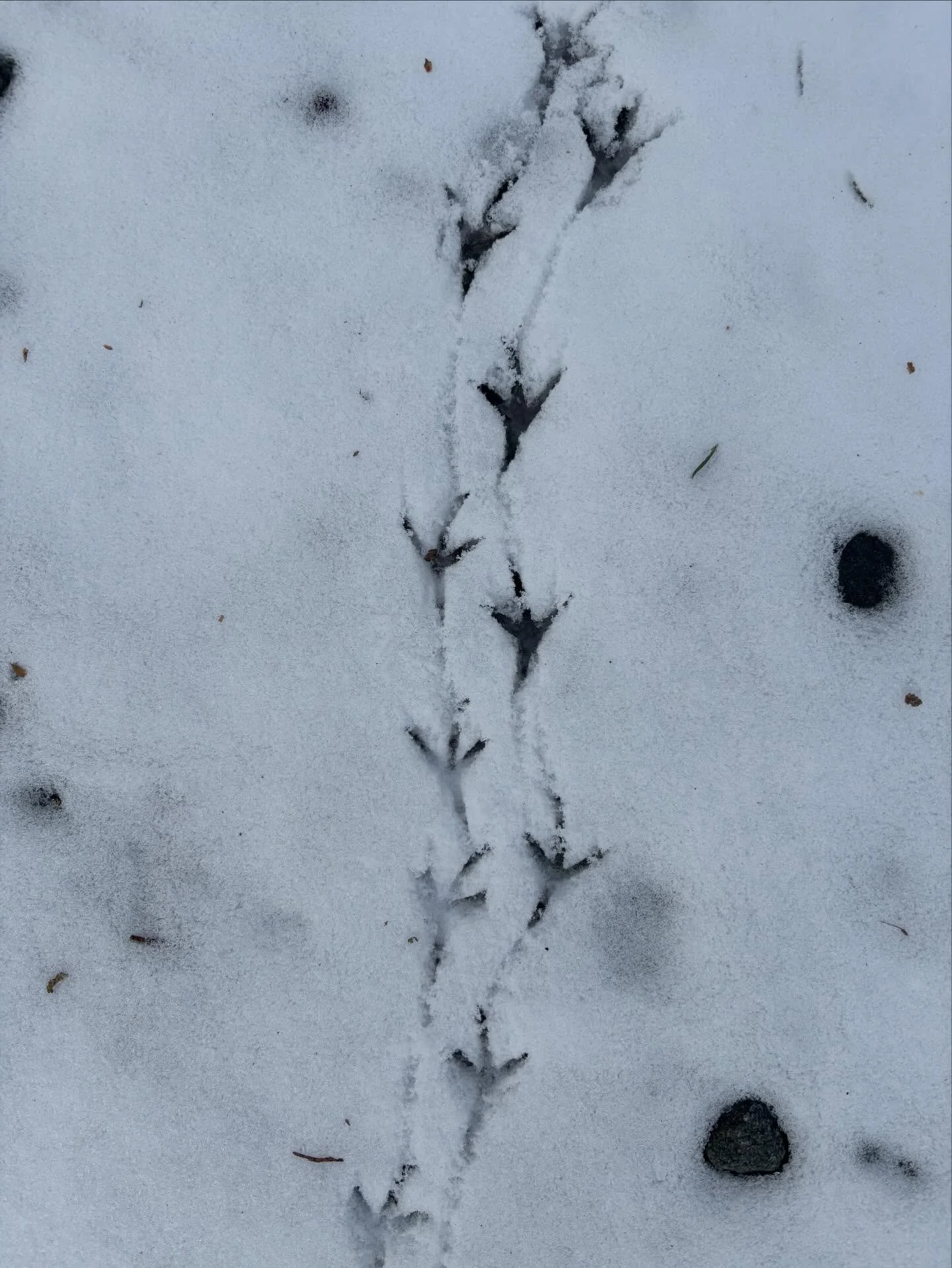 Walking into February like&hellip;