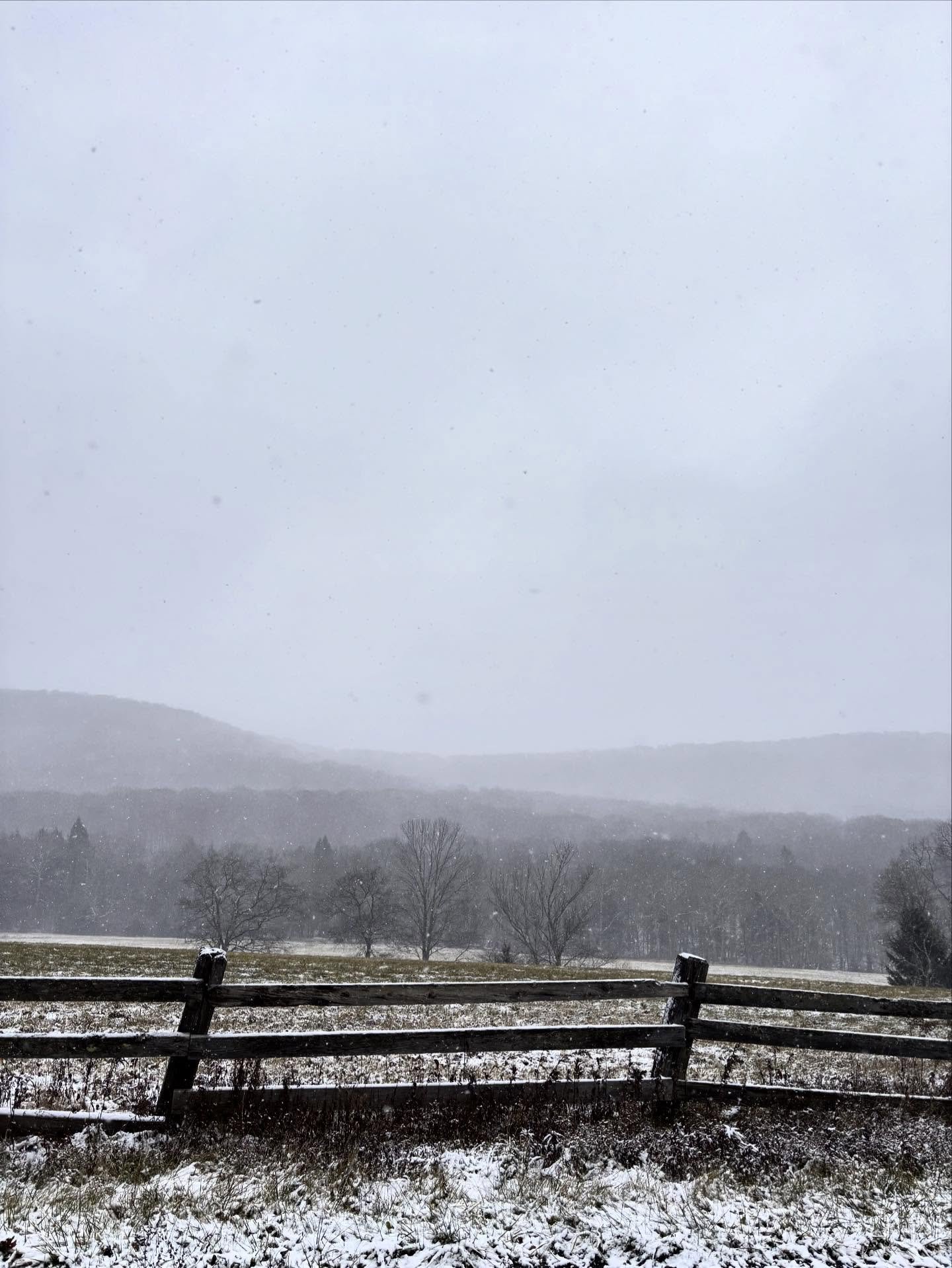 Full November up on Beech Hill Road.