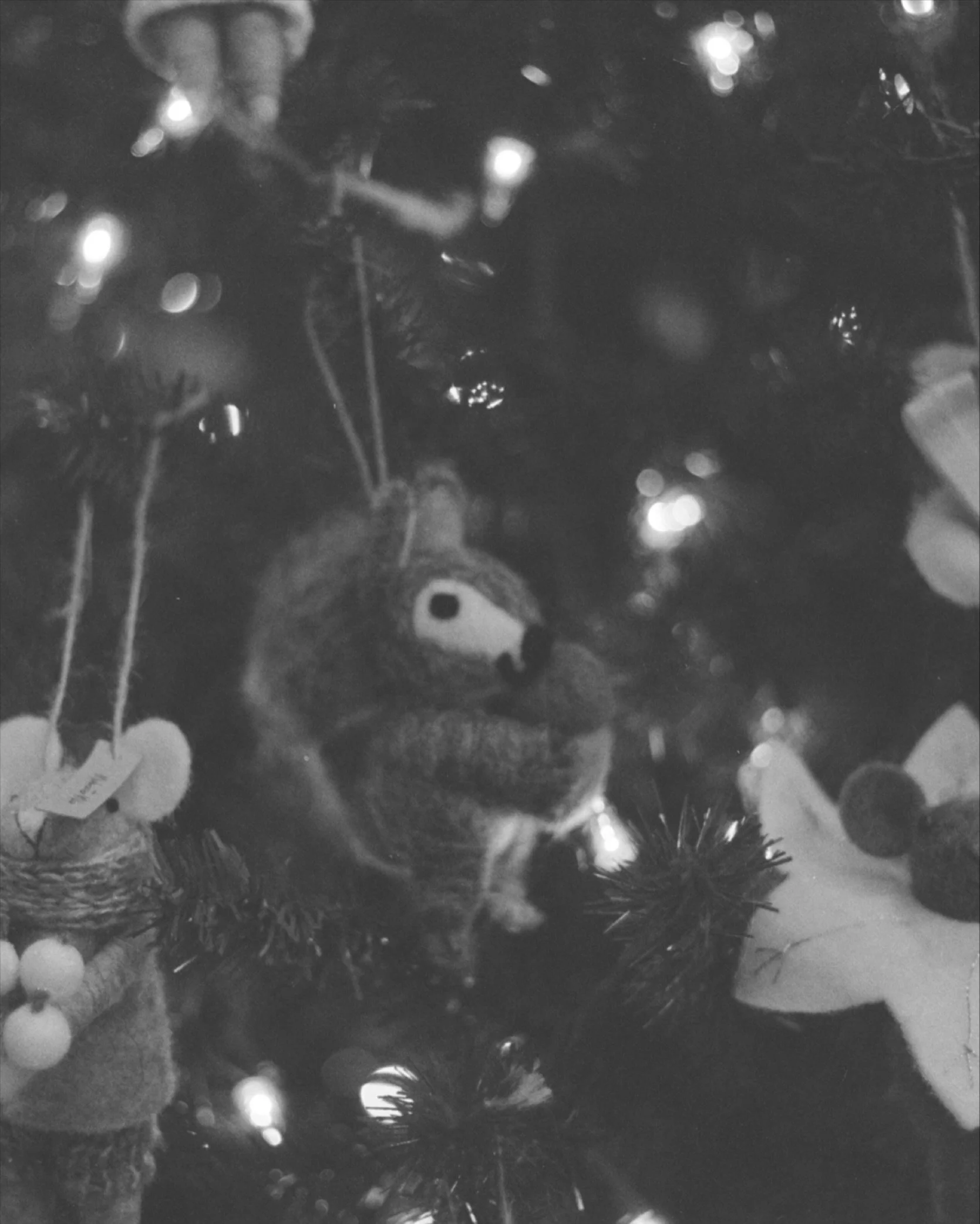Christmas, felt. 

Shot on KENTMERE 400: A great black and white film that we love for both indoor and outdoor use.