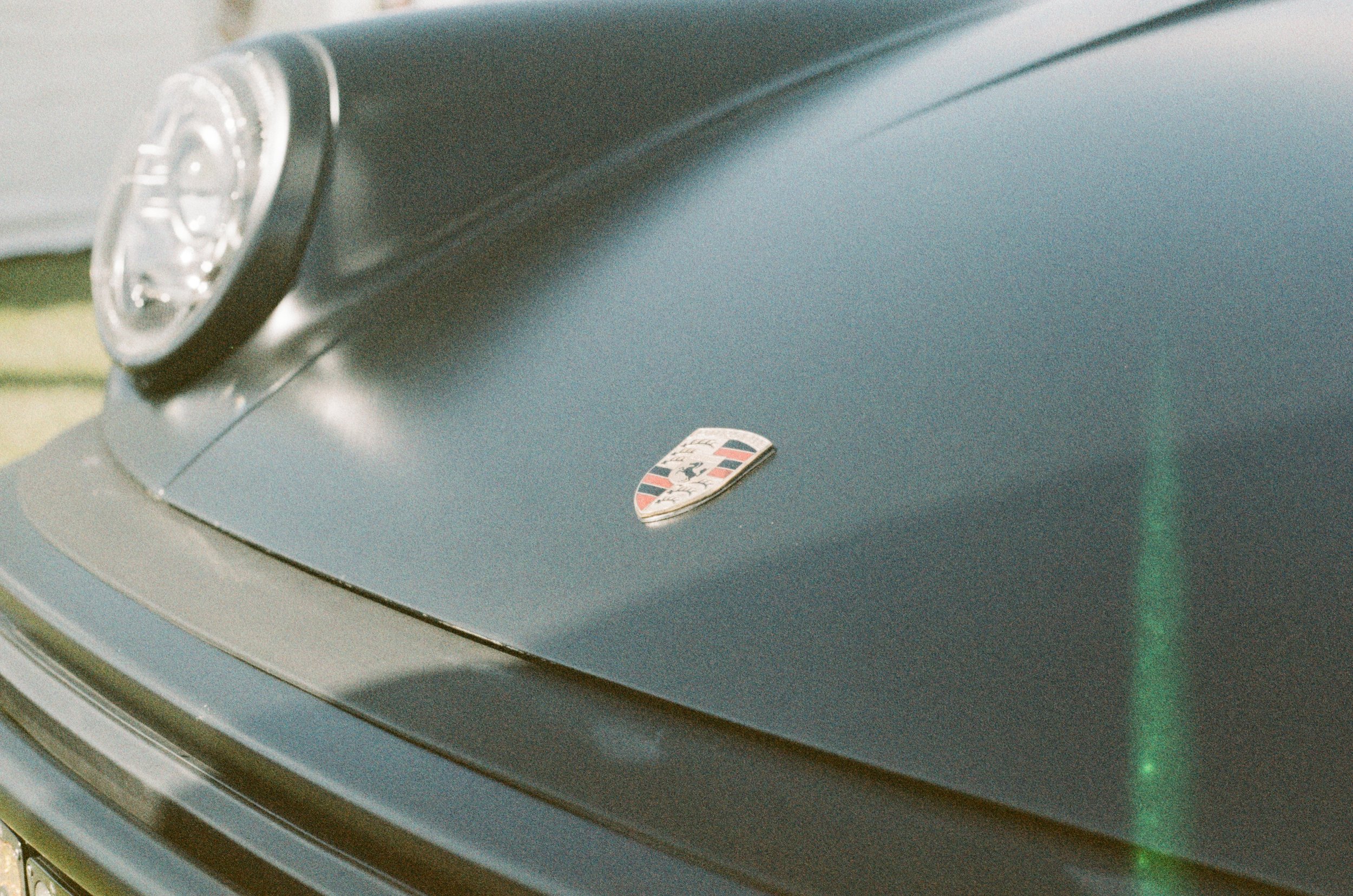 Film of the Month: Wolfen NC100