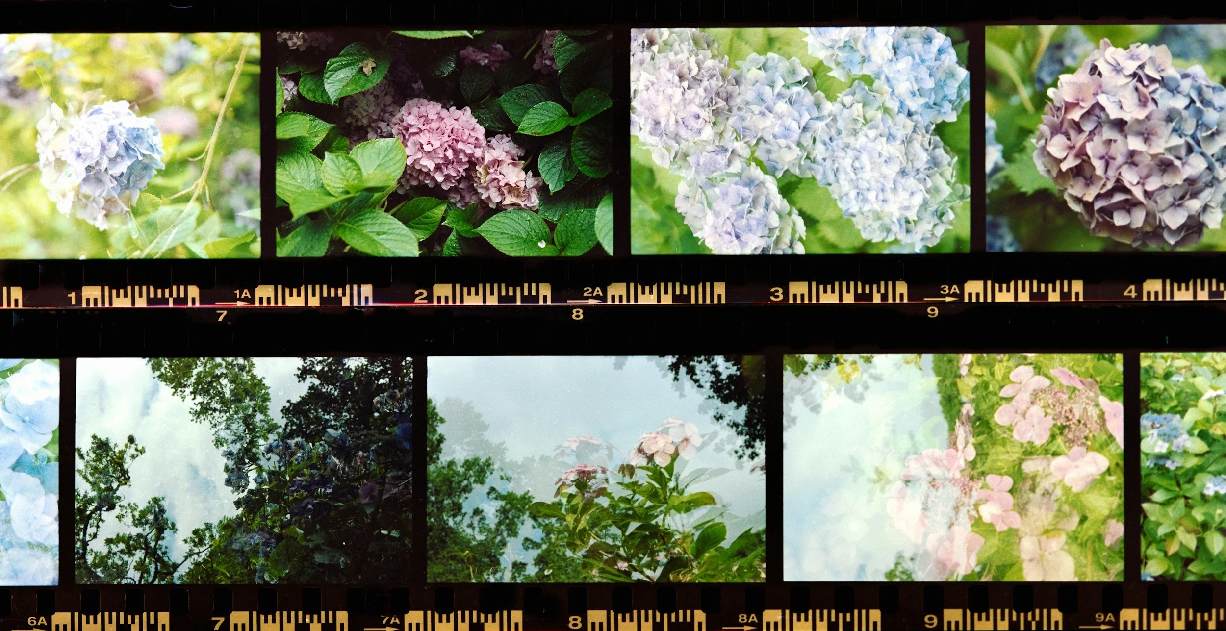 Where We Like to Develop Our Film (And Why)