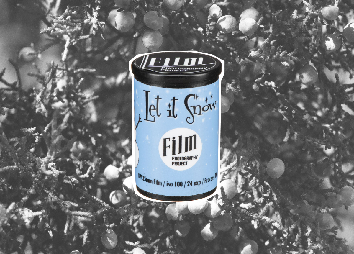 Film of the Month: Let it Snow