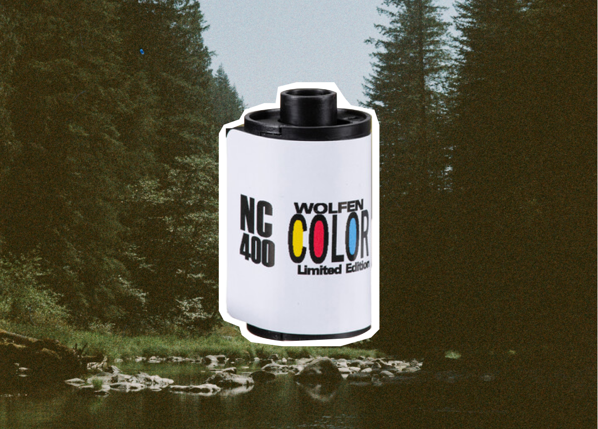 Film of the Month: Wolfen NC100