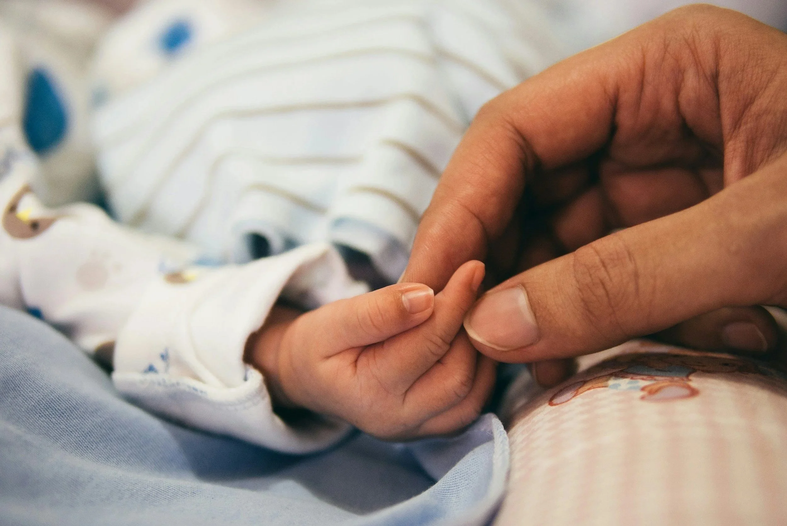 Close-up of a tiny baby hand holding an adult finger.
