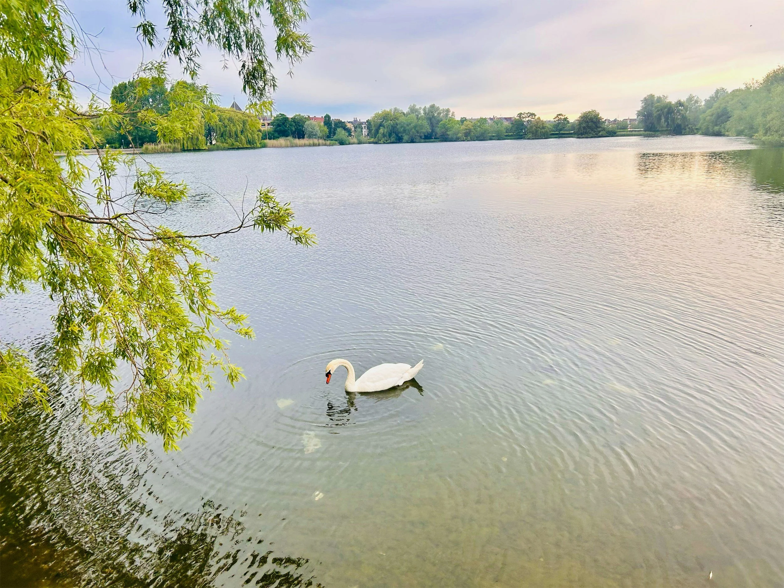 A calm &amp; collected pregnancy in times of uncertainty