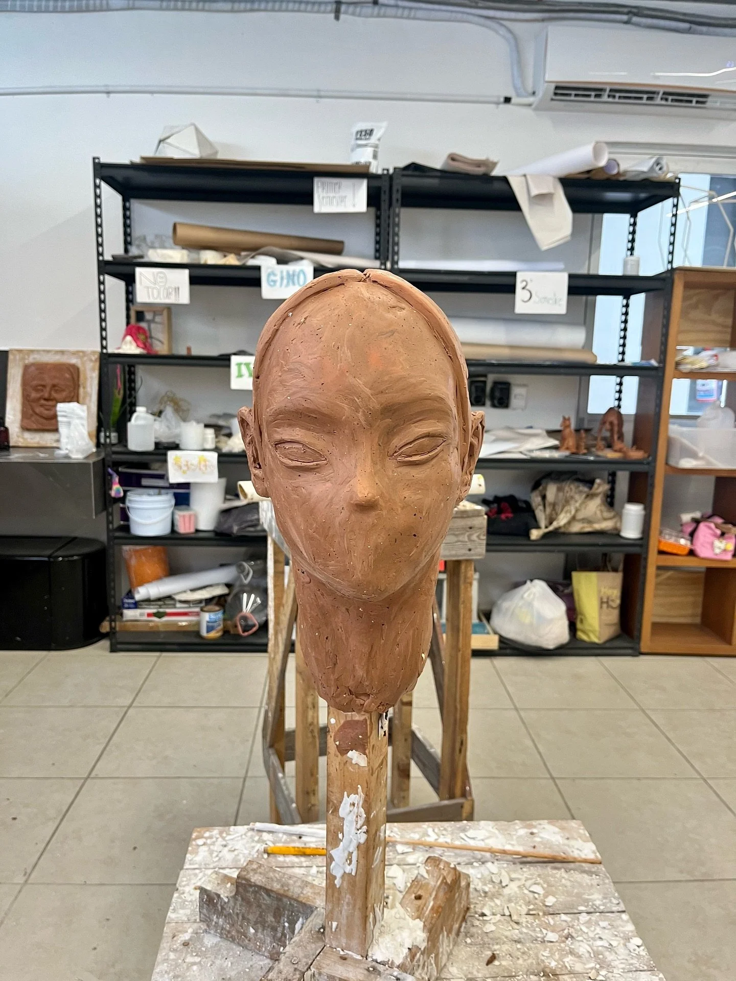 Contin&uacute;a la saga de esta escultura que empec&eacute; en Mayo, abandon&eacute;, retom&eacute; (ahora con un pez en la cabeza) y que me ha retado de todas las mejores maneras. Shoutout al sensei @elier_amado_gil por toda la gu&iacute;a, el conoc