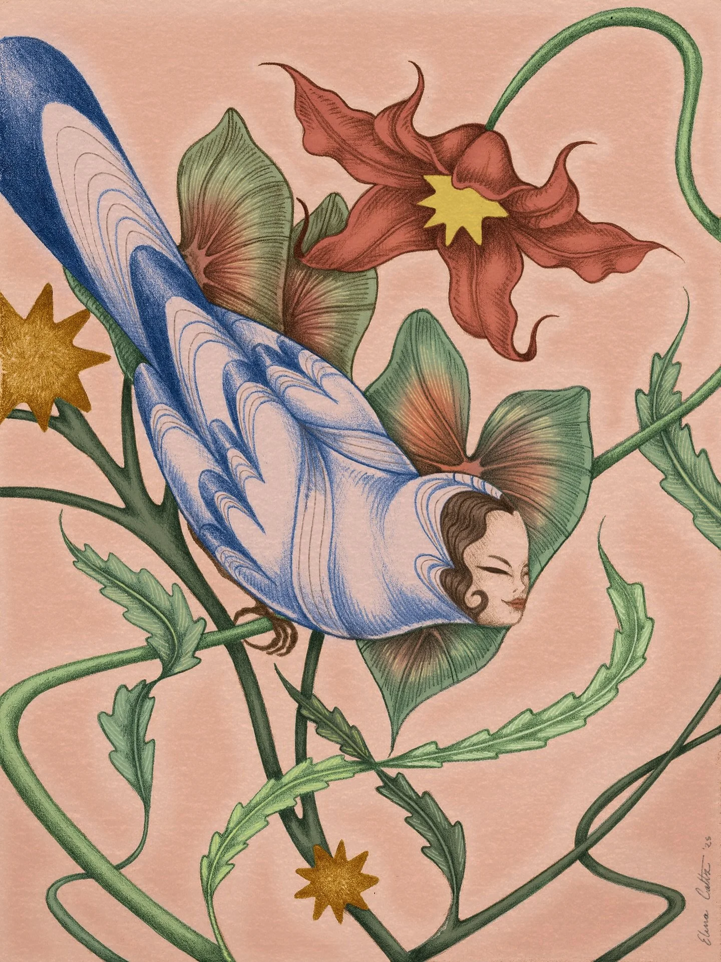 Una quimera p&aacute;jaro-mujer se precipita violentamente sobre una flor que se dobla bajo su peso.  A veces volar se siente m&aacute;s como caer, pero lo que nos sostiene ser&aacute; lo mismo que nos har&aacute; brillar en el brutal descenso. 

Est