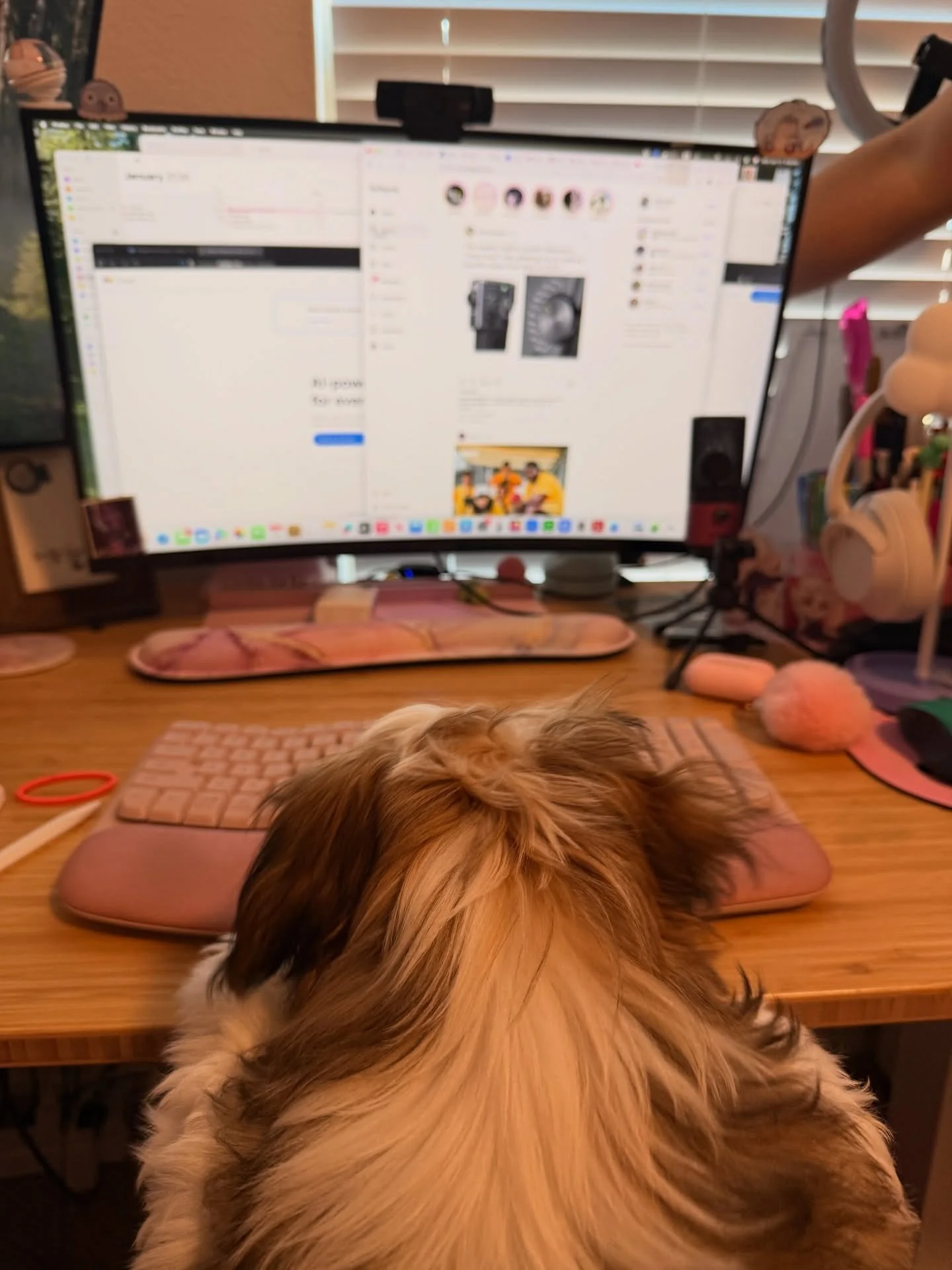 Back in office 😌 (jk, I&rsquo;ve been back, but I think my brain is finally catching up!).

After a relentlessly busy 2025 (December was the first month I was able to take some time off for more than a day&hellip;to give you an idea 🫠), I was super