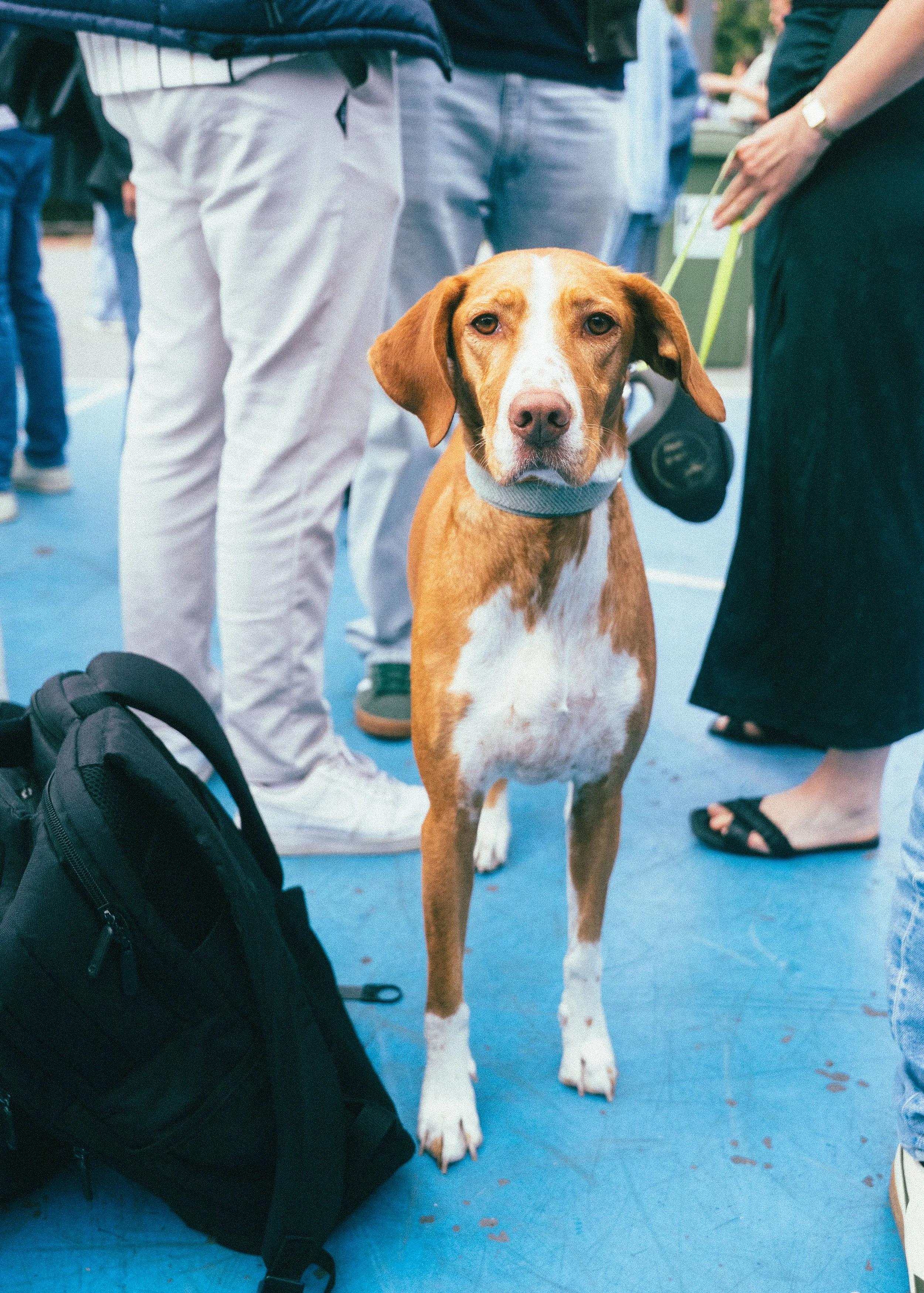 UNWIND AFTER WORK 1AUG (c) TONE VERSWIJVEL-1-9.jpg