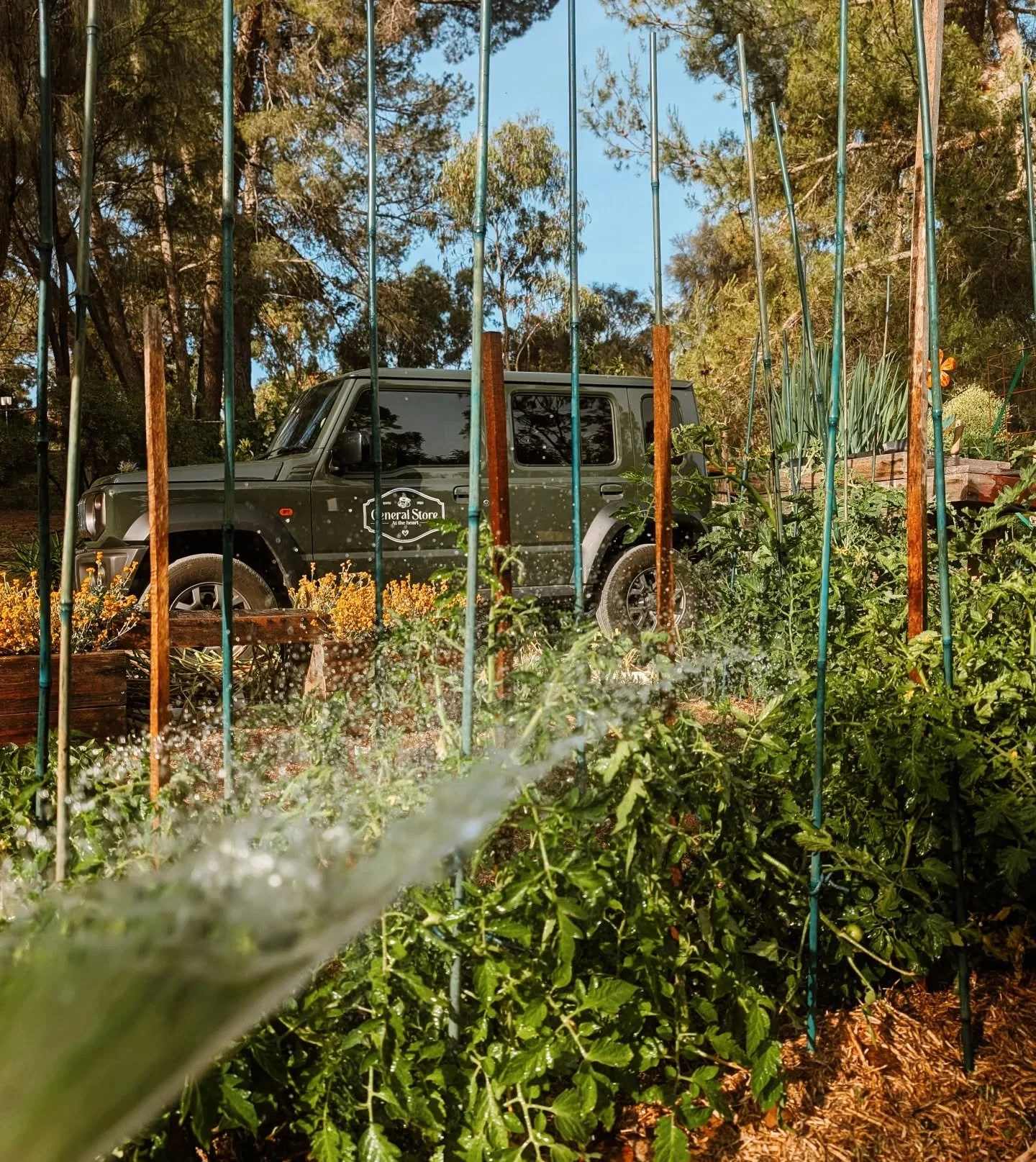 well-deserved week of rest 🌼 While she&rsquo;s away, Fern has stepped in to keep everything watered and thriving so it&rsquo;s just as beautiful when Jody returns.

Our community garden plot is one of our favourite places &mdash; a space where our p