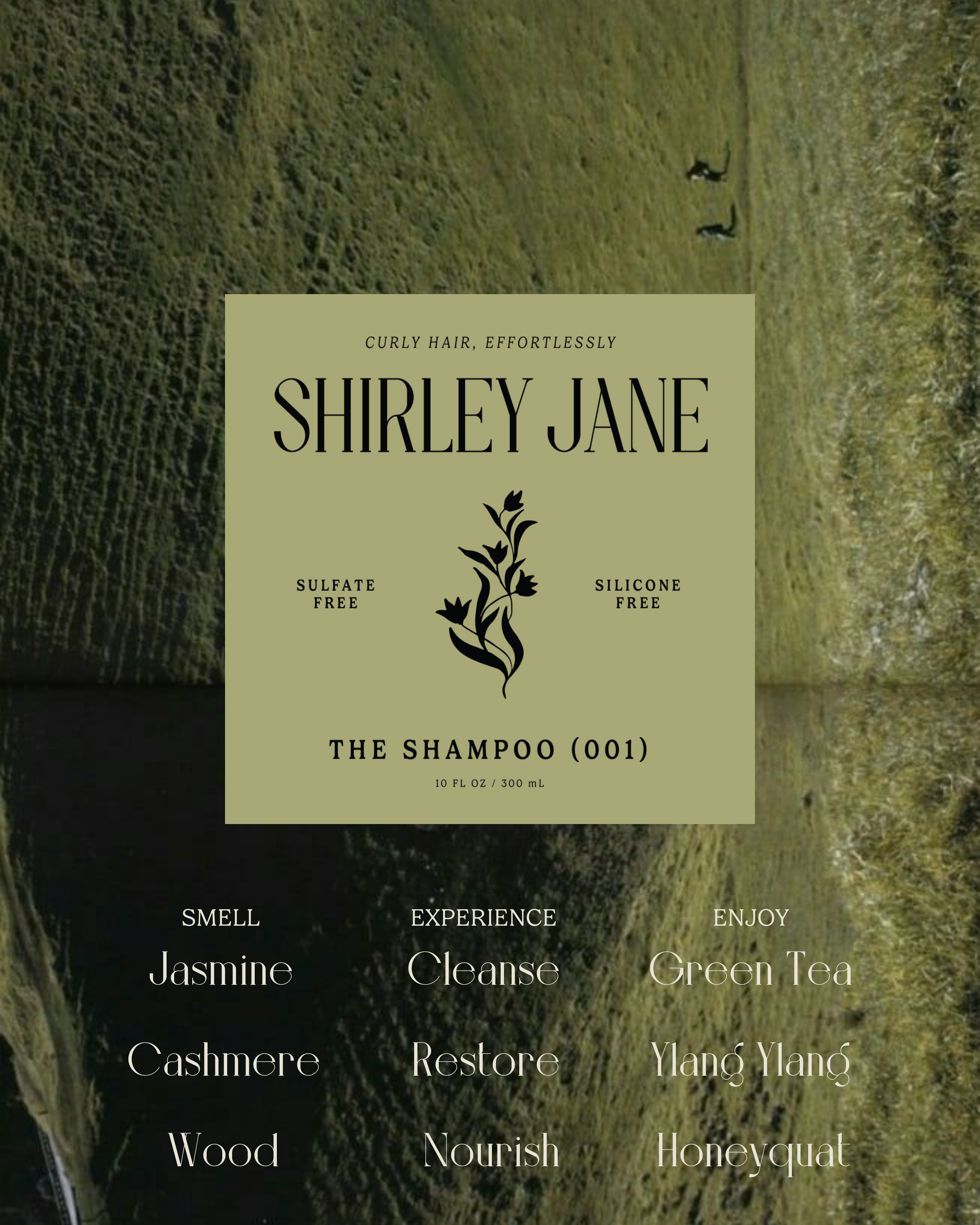 THE SHAMPOO (001) 10 FL OZ  300 mL.png