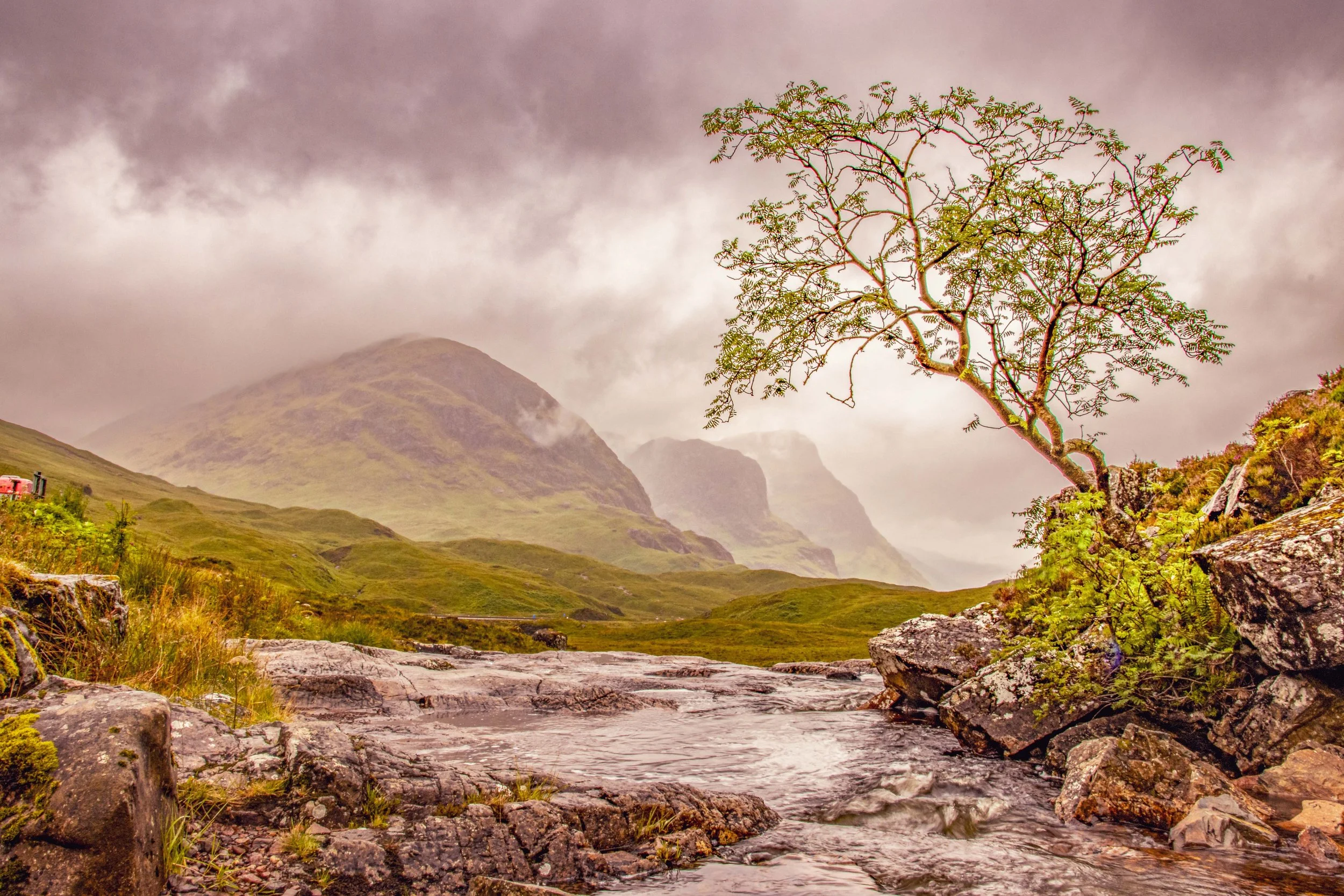 A lone tree with green leaves grows on rocks beside a flowing stream in a mountainous landscape with cloudy sky.