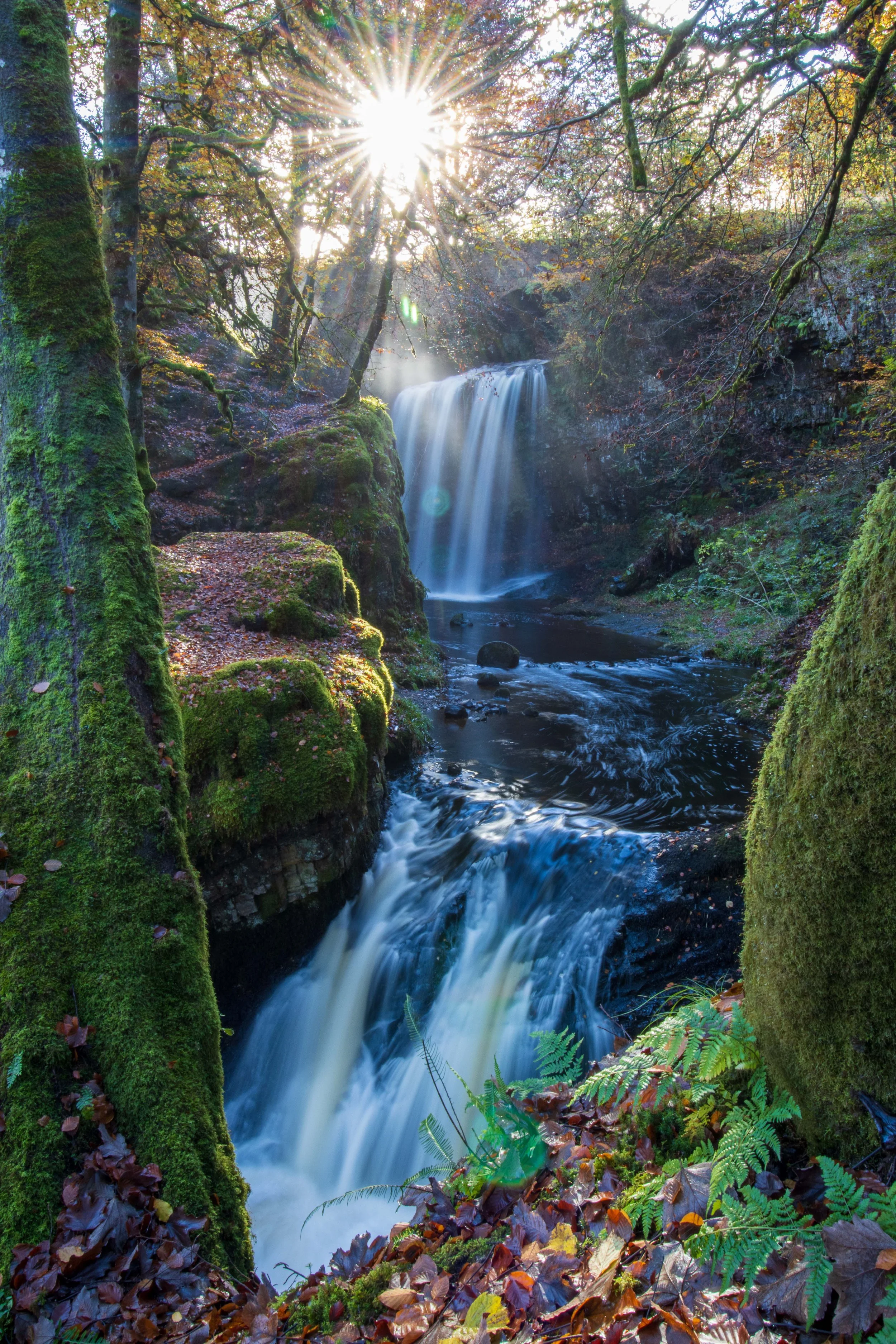 Sun shining through trees over a flowing waterfall surrounded by moss-covered rocks and autumn leaves.