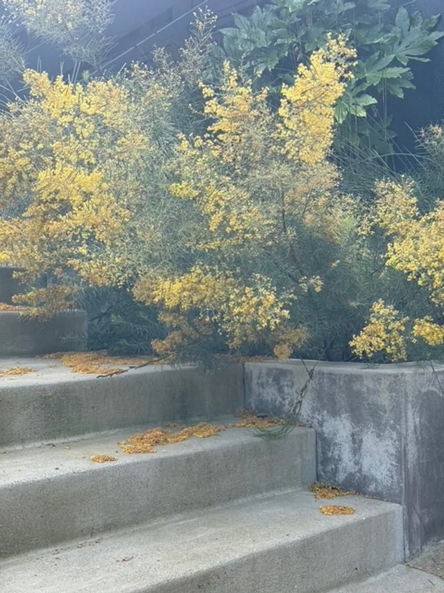 steps 2.jpg