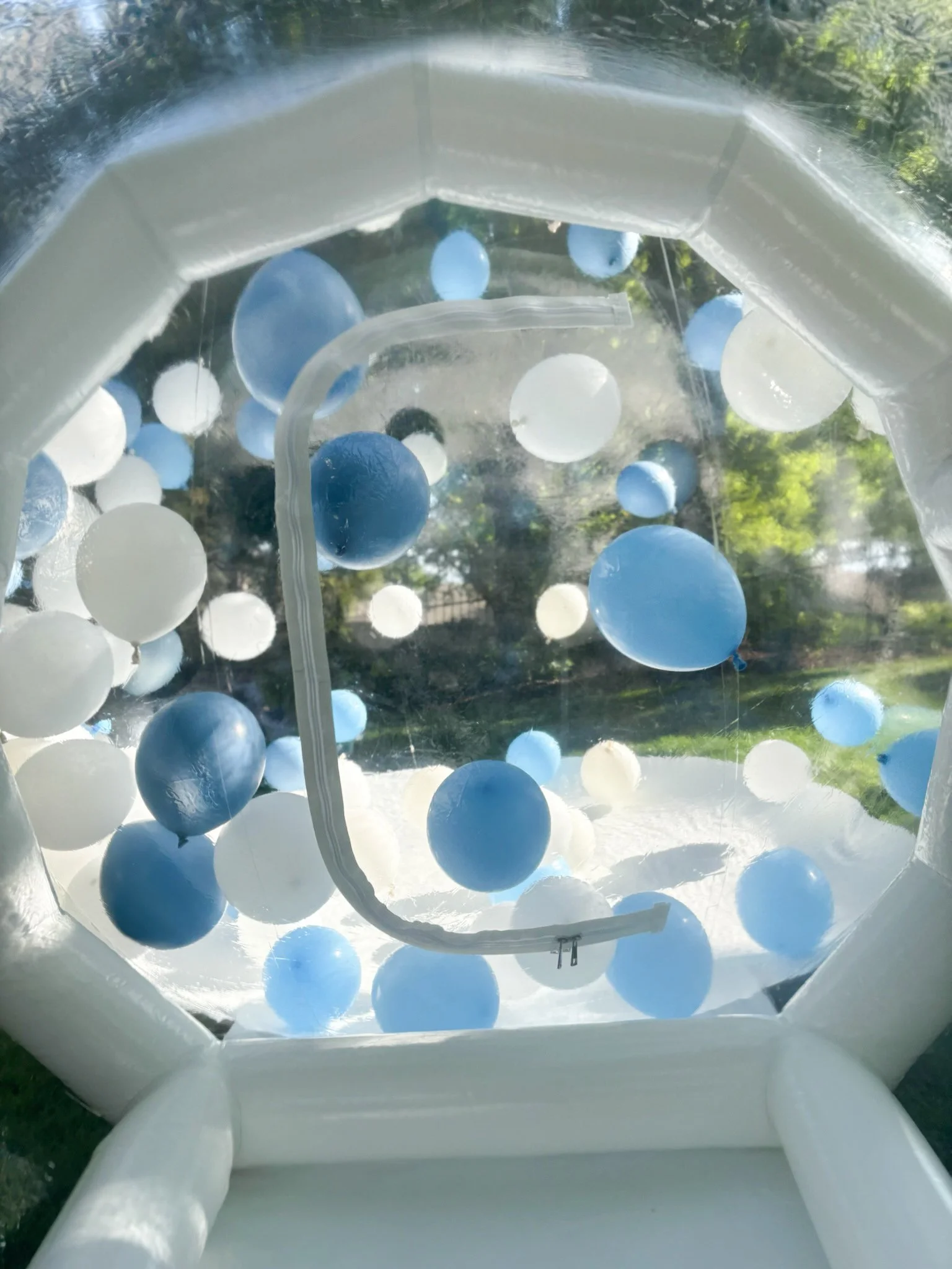 Mini Bubble House