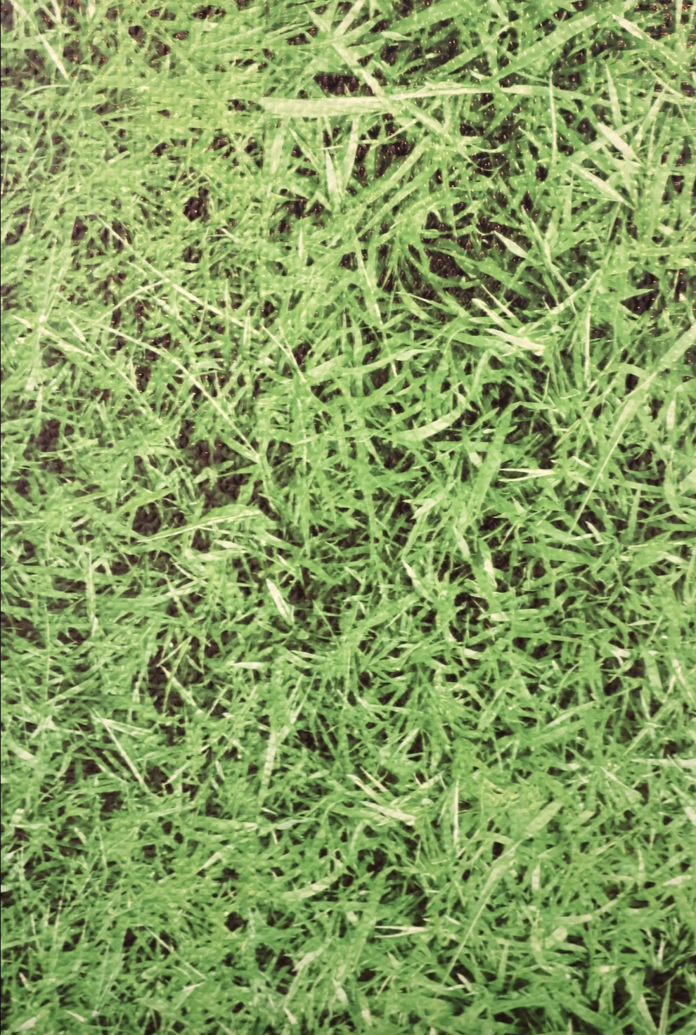 Screen Shot 2025-04-15 at 9.31.04 PM.png