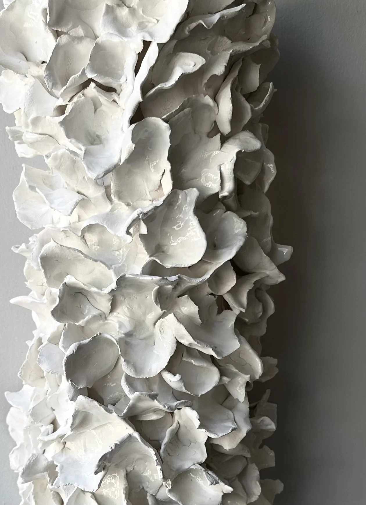 Seareef03-closeup.jpg
