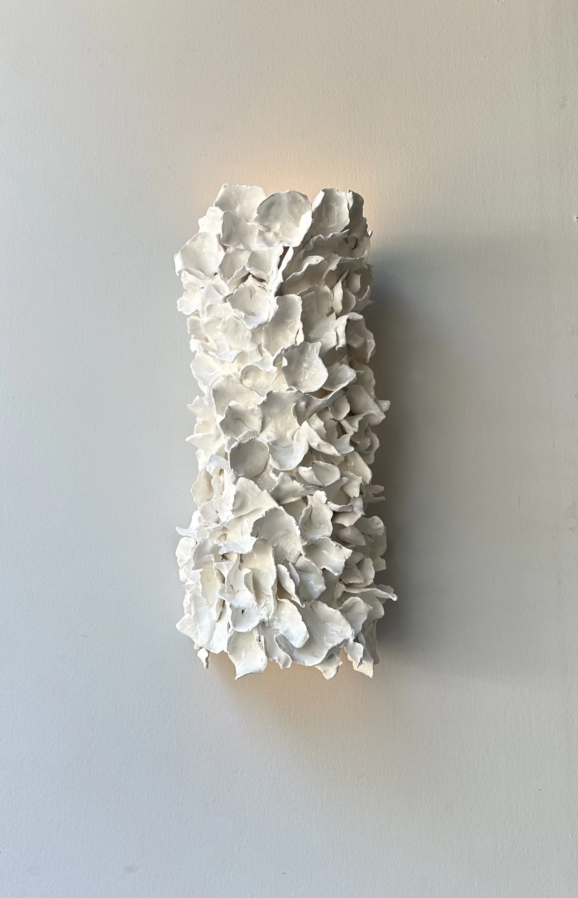 SEA Reef03-Light.jpg