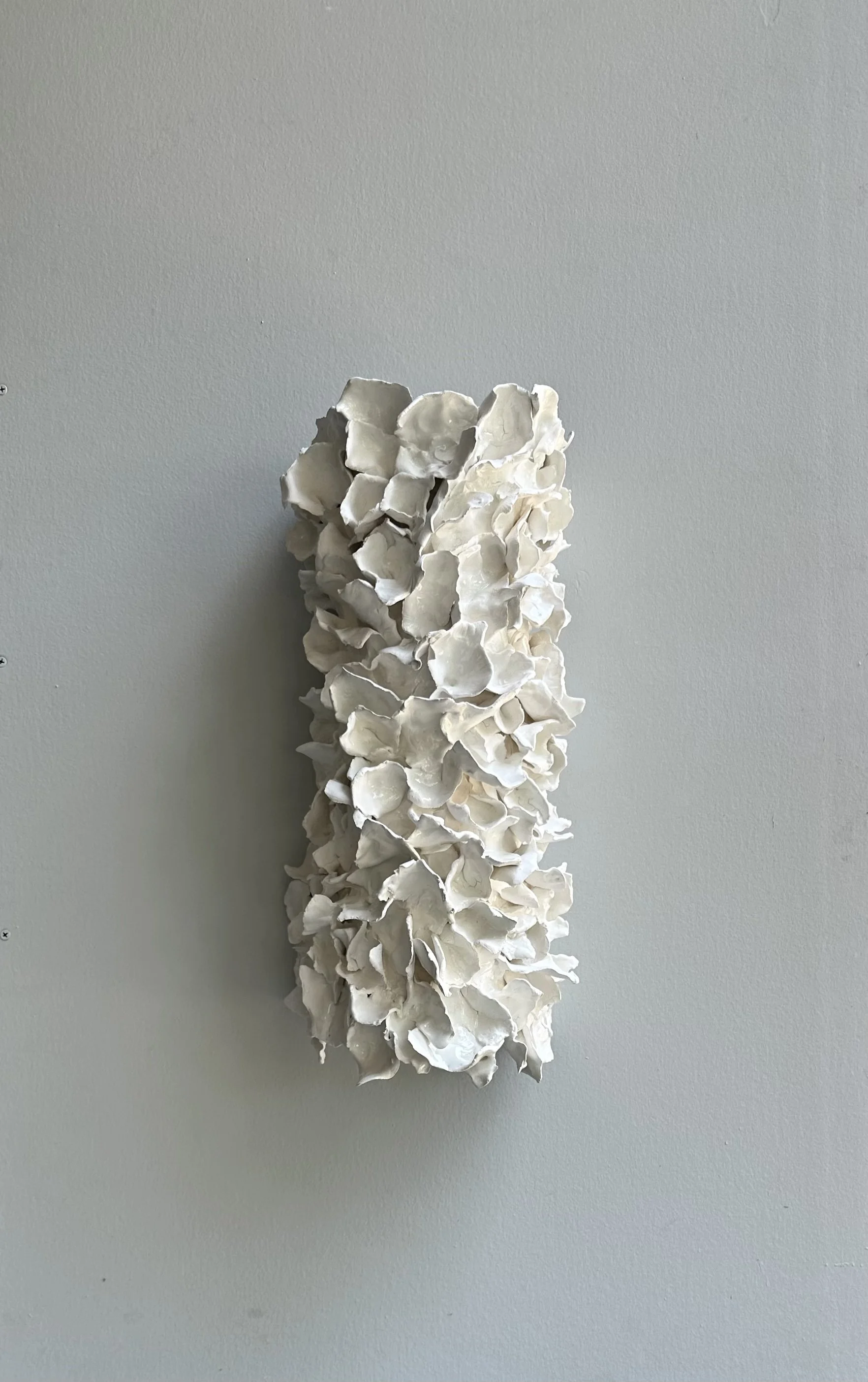 SEa Reef03.jpg