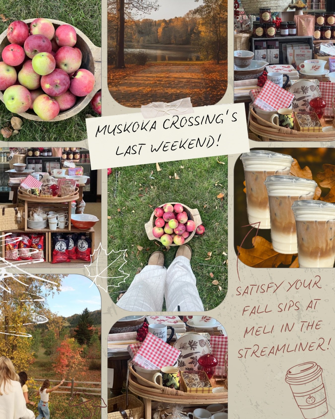 🍂✨It&rsquo;s the last weekend at Muskoka Crossing!✨🍂
Satisfy your fall cravings at Meli in The Streamliner, stock up on cozy autumn finds in our Boutique, and scoop up end-of-season deals at Torrance General Store.

We&rsquo;re open Friday&ndash;Su