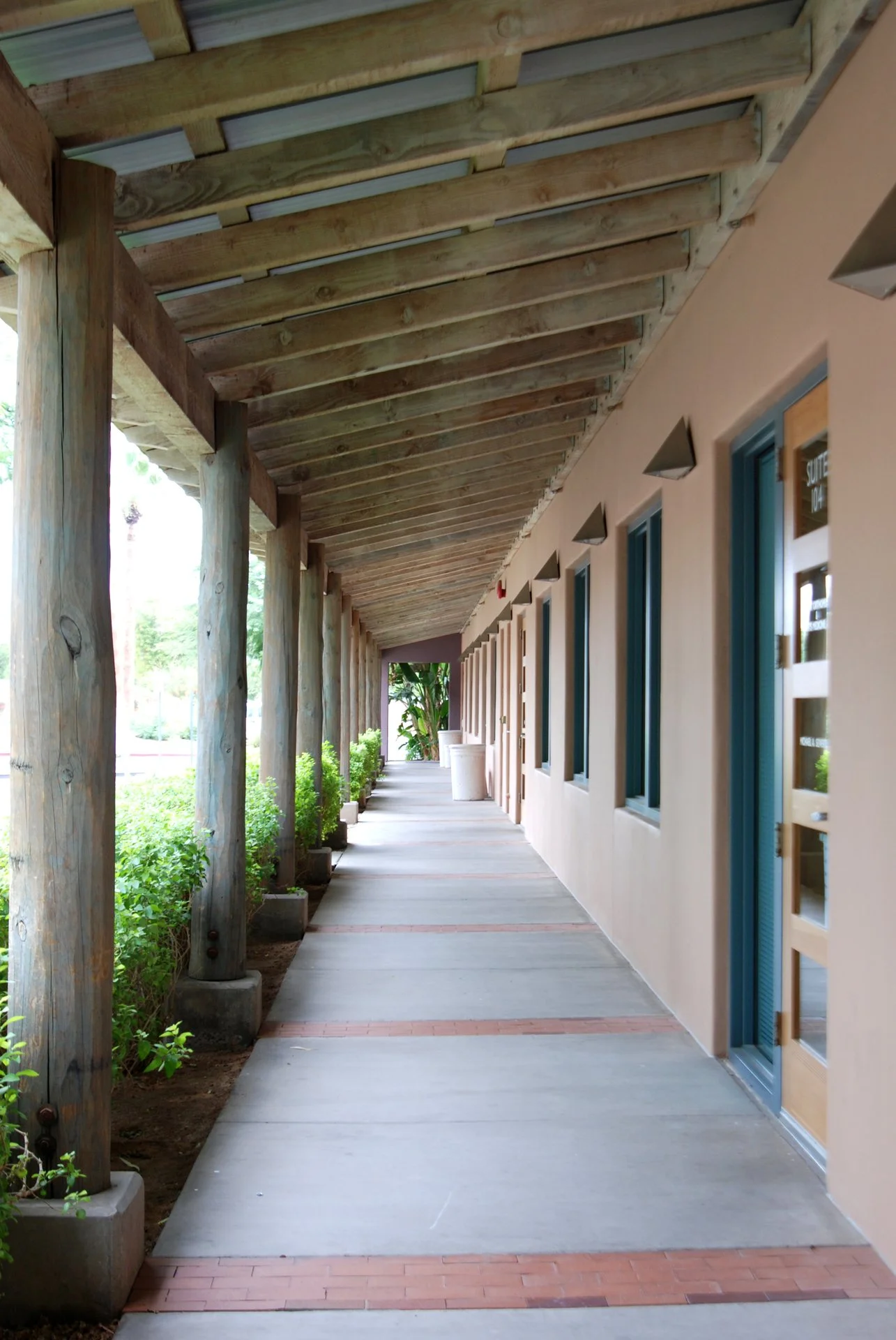 Covered outdoor walkway with wooden beams and a row of windows on the right side, lined with plants on the left.