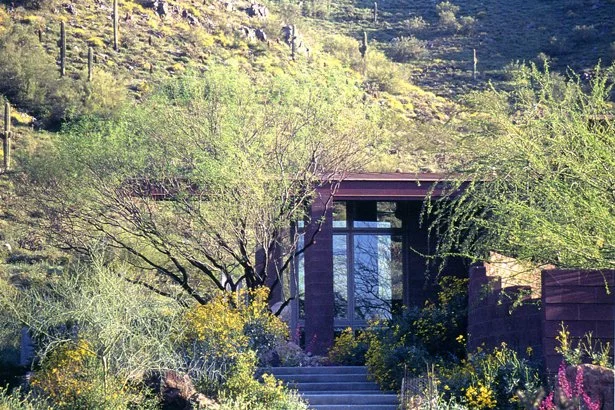 Desert home with modern architecture and large windows surrounded by lush desert plants and cacti, set against a hillside.