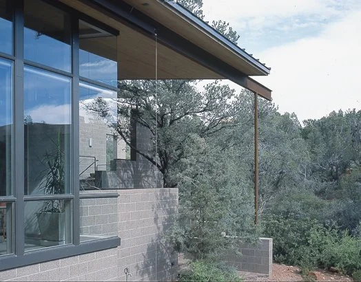 Modern house exterior with large windows and lush greenery