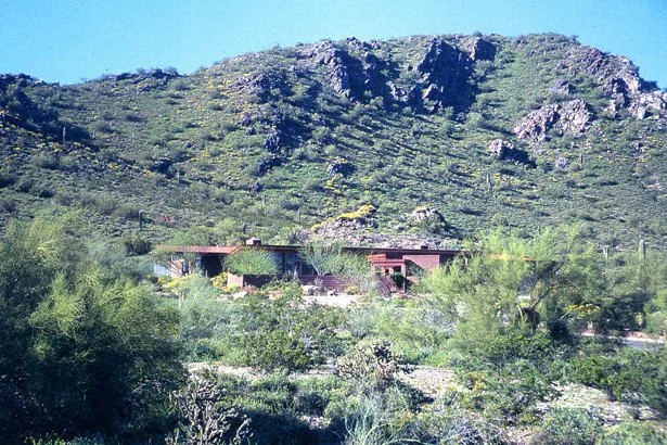 Desert landscape with a modern house tucked into the vegetation and blending into the mountain backdrop.