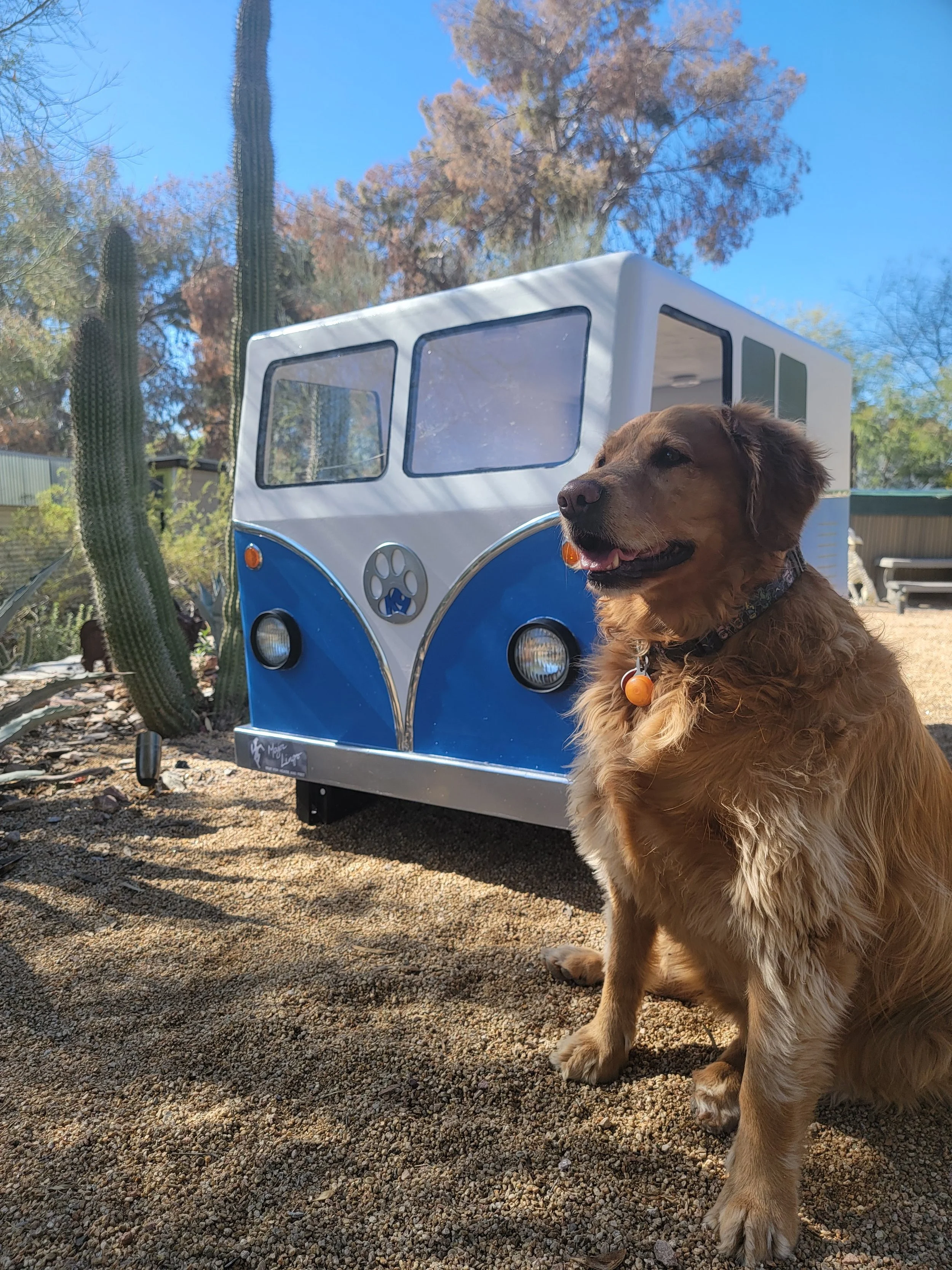 AAWL Design for Dogs