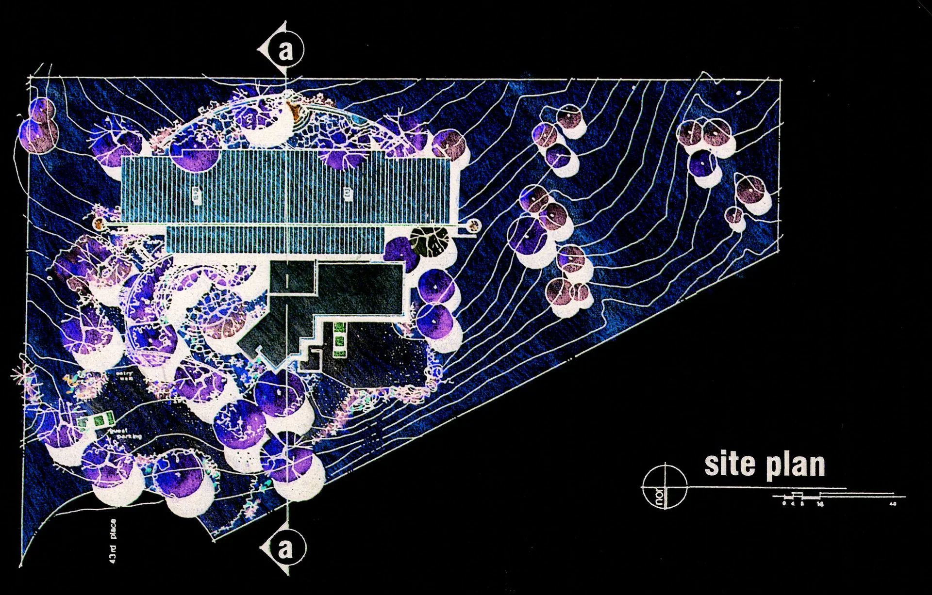 Architectural site plan with building layout and landscaping, featuring topographic lines and labeled areas, on a dark background.