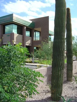 Modern office building with large windows and desert landscaping, featuring tall cacti and various plants.