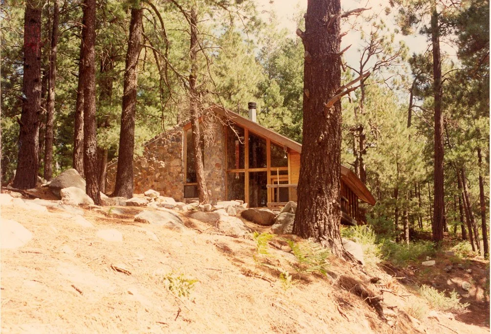 Wooden cabin with stone wall among tall pine trees in forest setting during daylight.