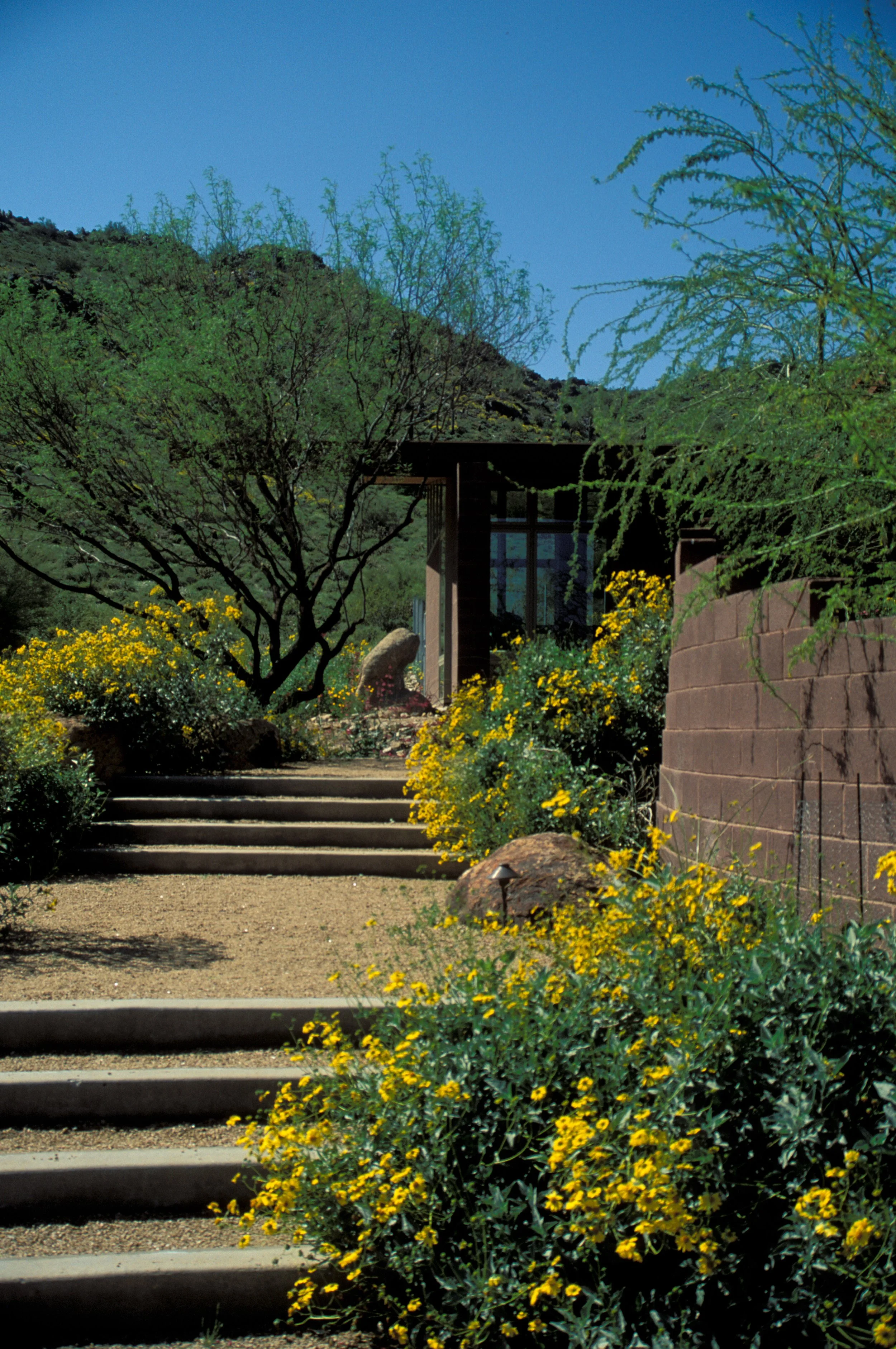 Pathway with stairs integrated into the desert landscape.