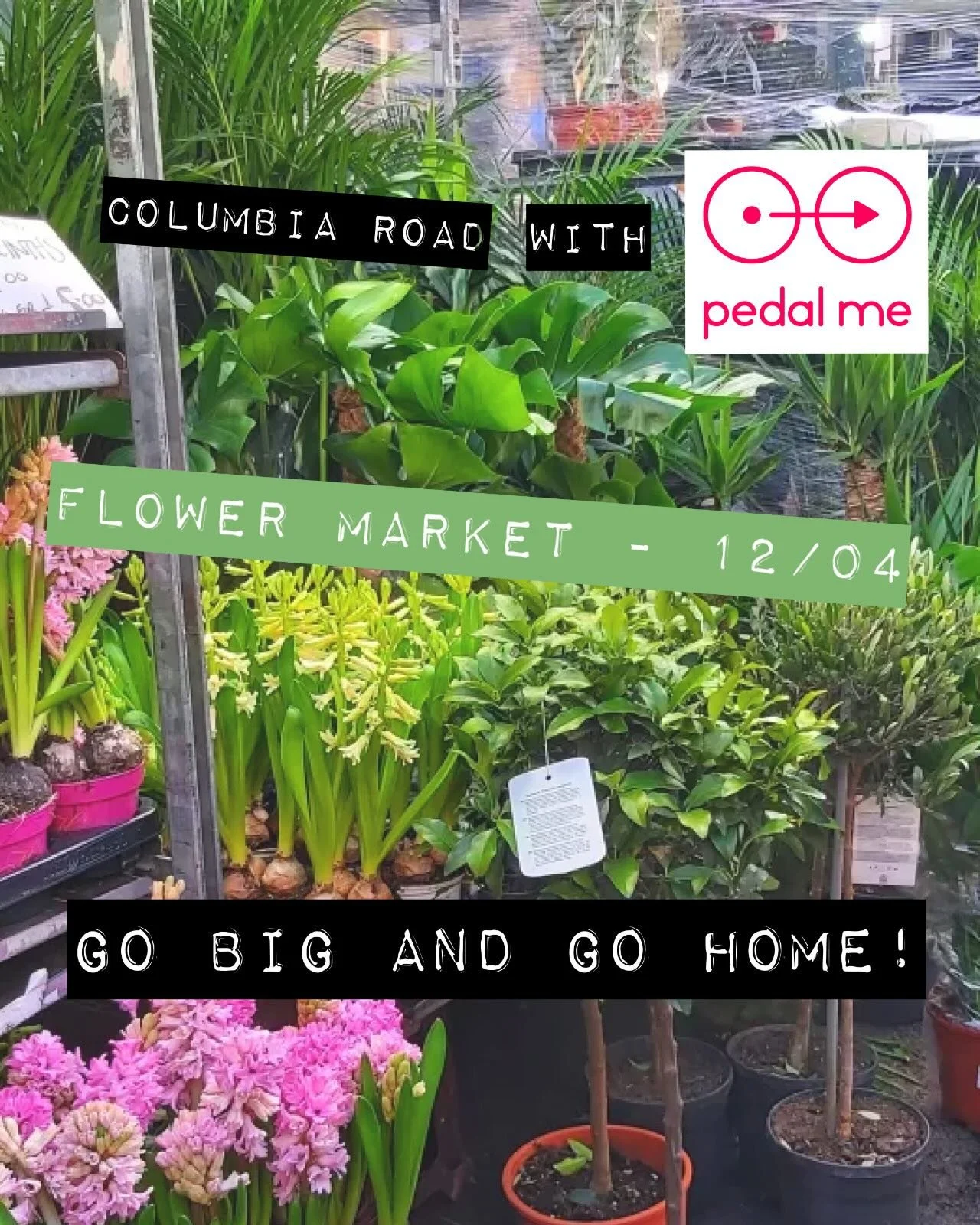 Go big this Sunday 🌿

At Columbia Road, don&rsquo;t limit yourself to what you can carry.
Buy what you actually want &mdash; we&rsquo;ll get it home.

&pound;5 up to 10kg
&pound;10 up to 50kg

Find the Pedal Me stall.
Drop it off. Walk away. We deli