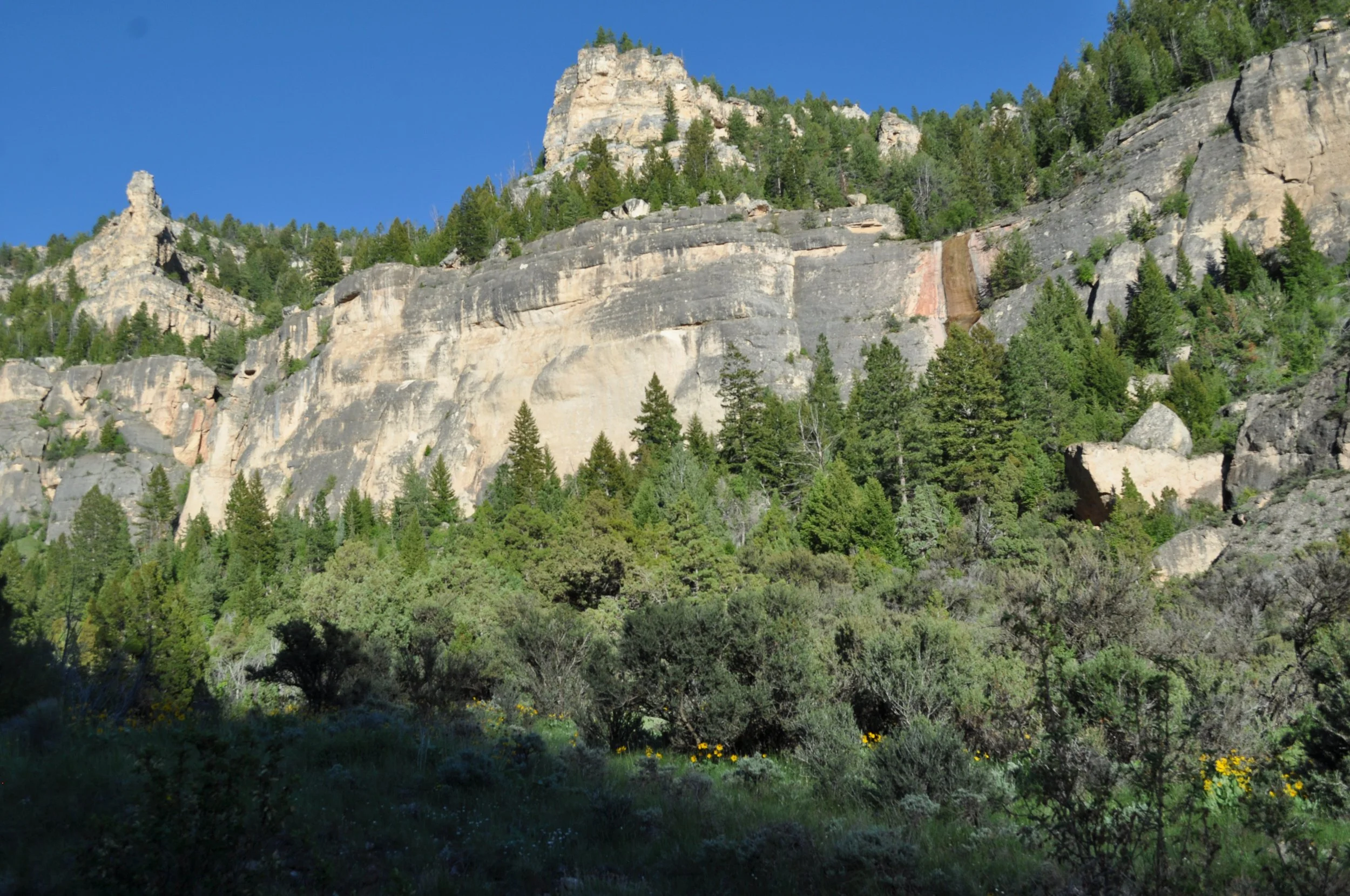 Tensleep canyon, Wyoming