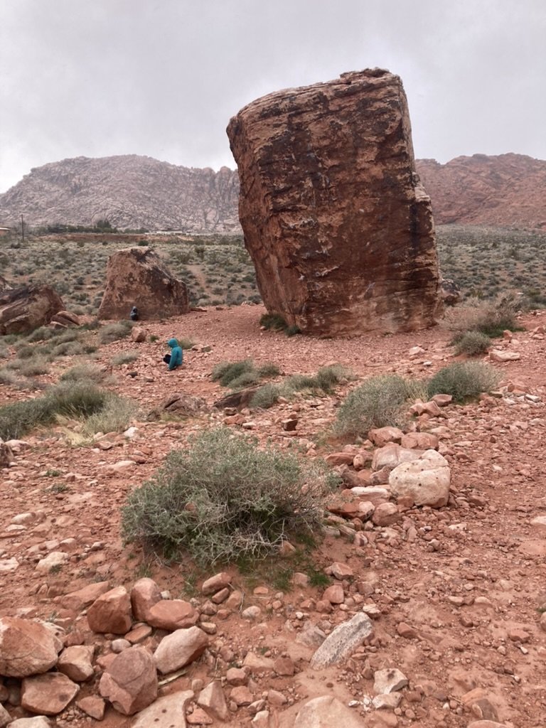 5924DE99-DDB6-4382-AA7F-AD167157FFB9_1_105_c.jpeg