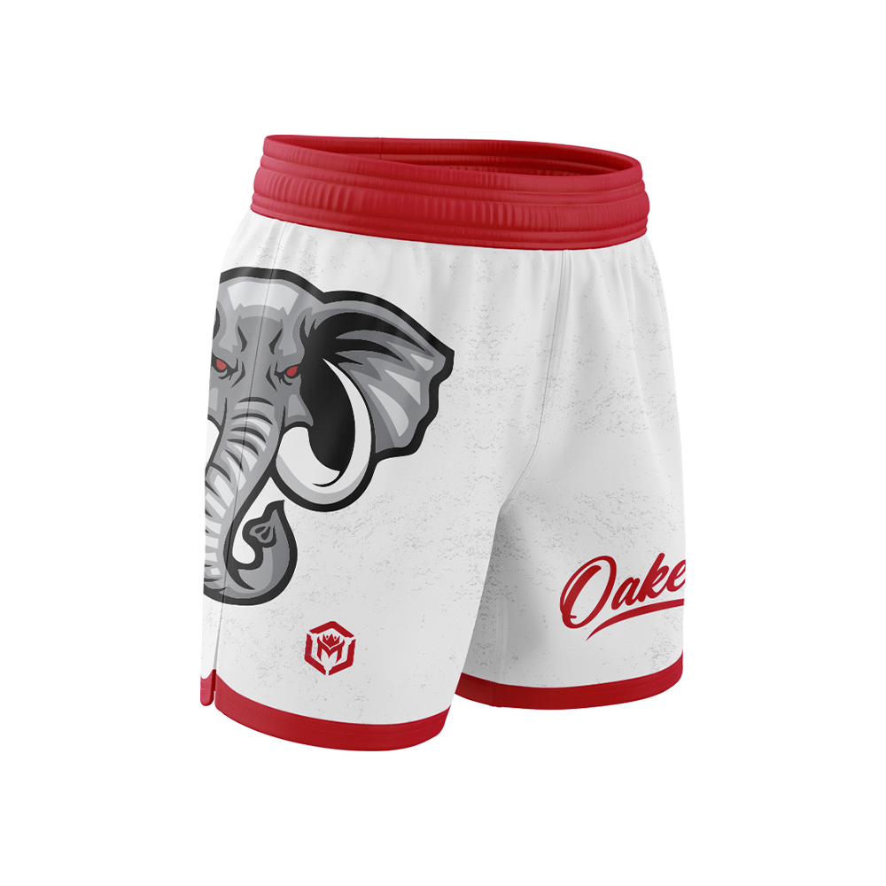 Fight Short