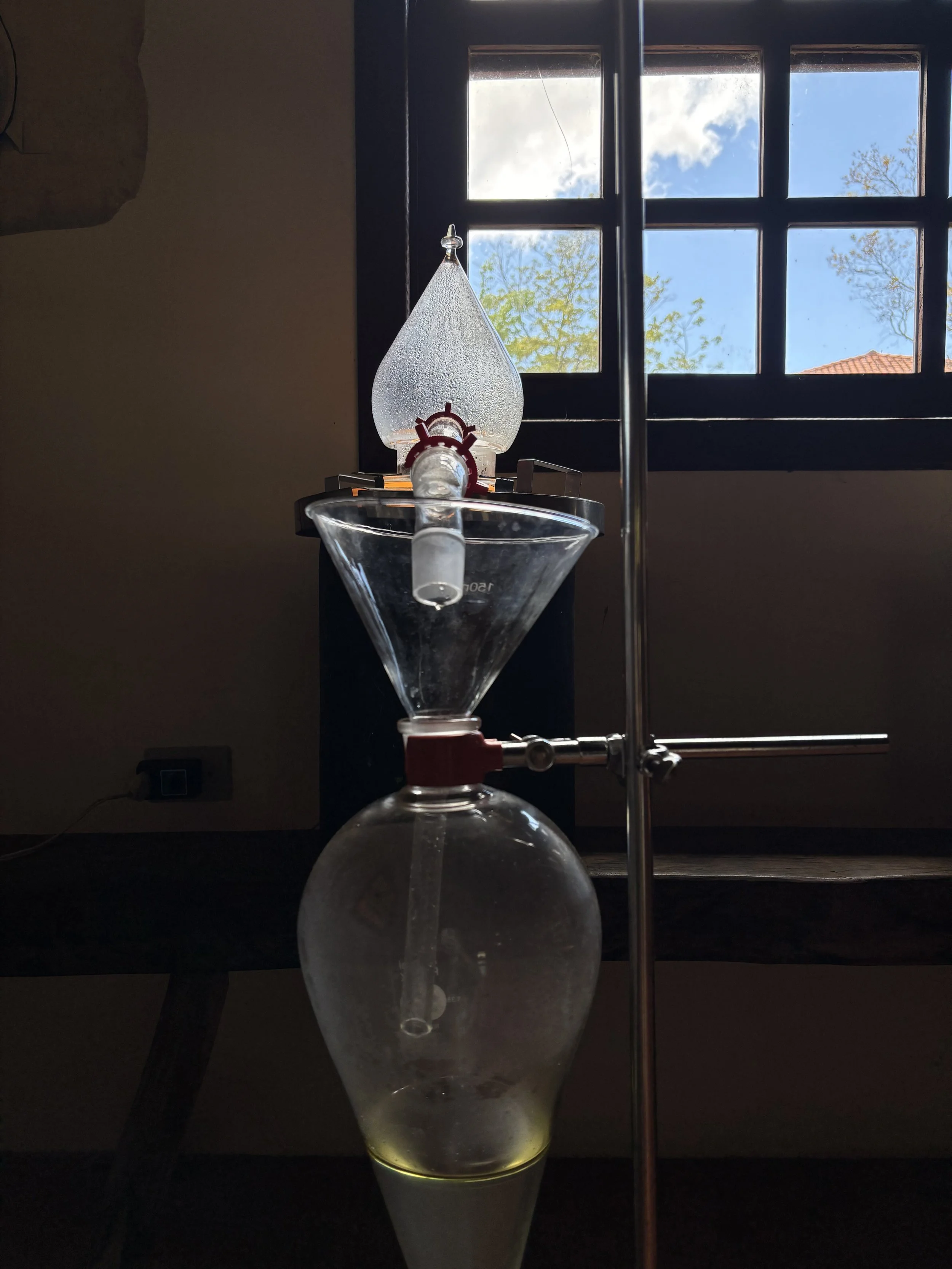 IMG_6863.jpeg
