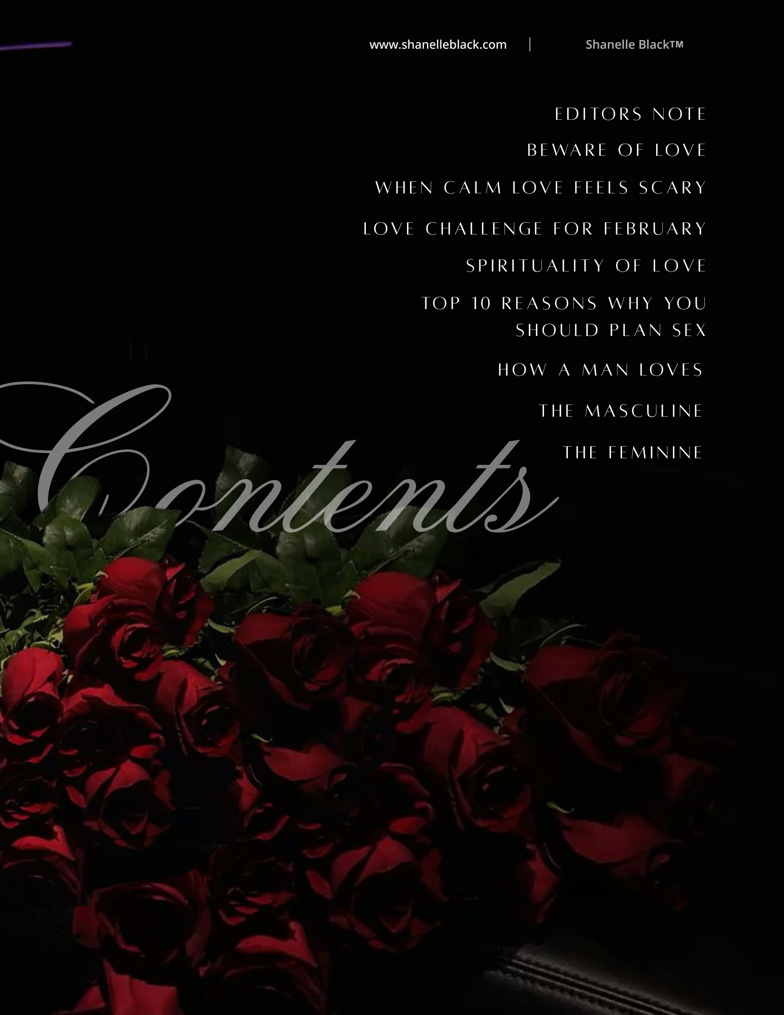 Table of contents-4.png
