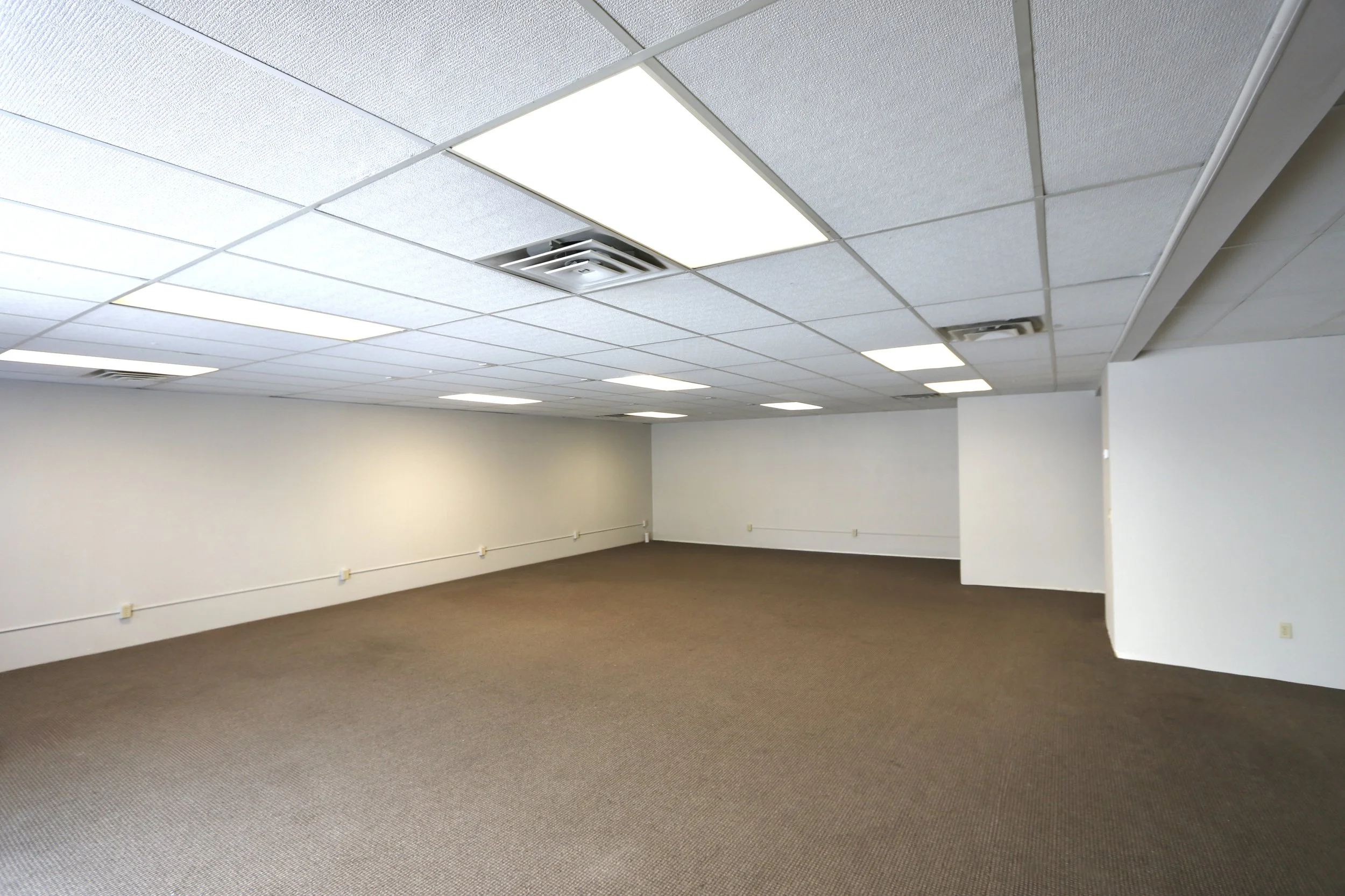 Empty room with beige carpet, white walls, and a drop ceiling with fluorescent lights.