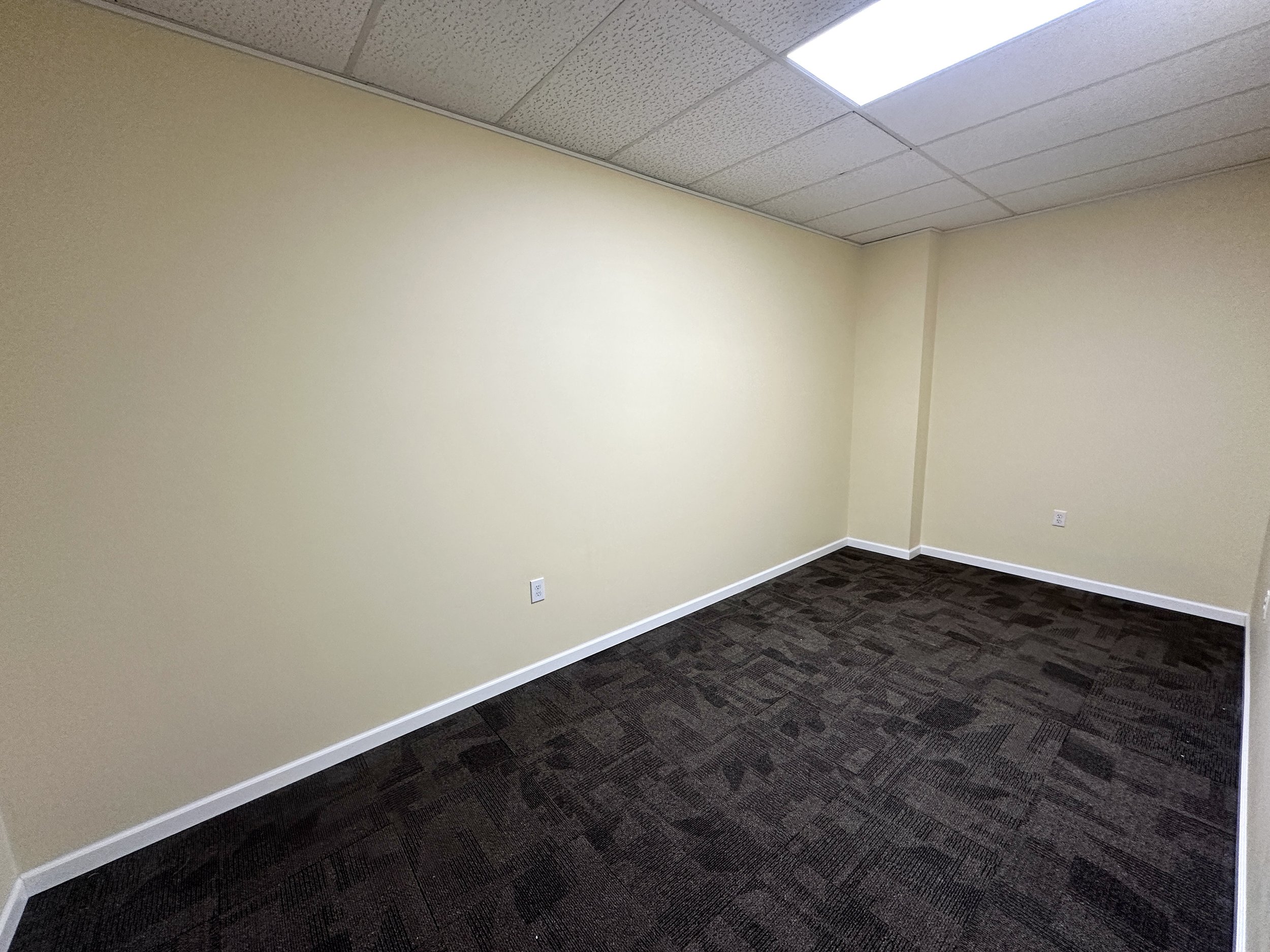 Empty office room with beige walls, dark patterned carpet, white baseboards, and a ceiling with fluorescent light panels.
