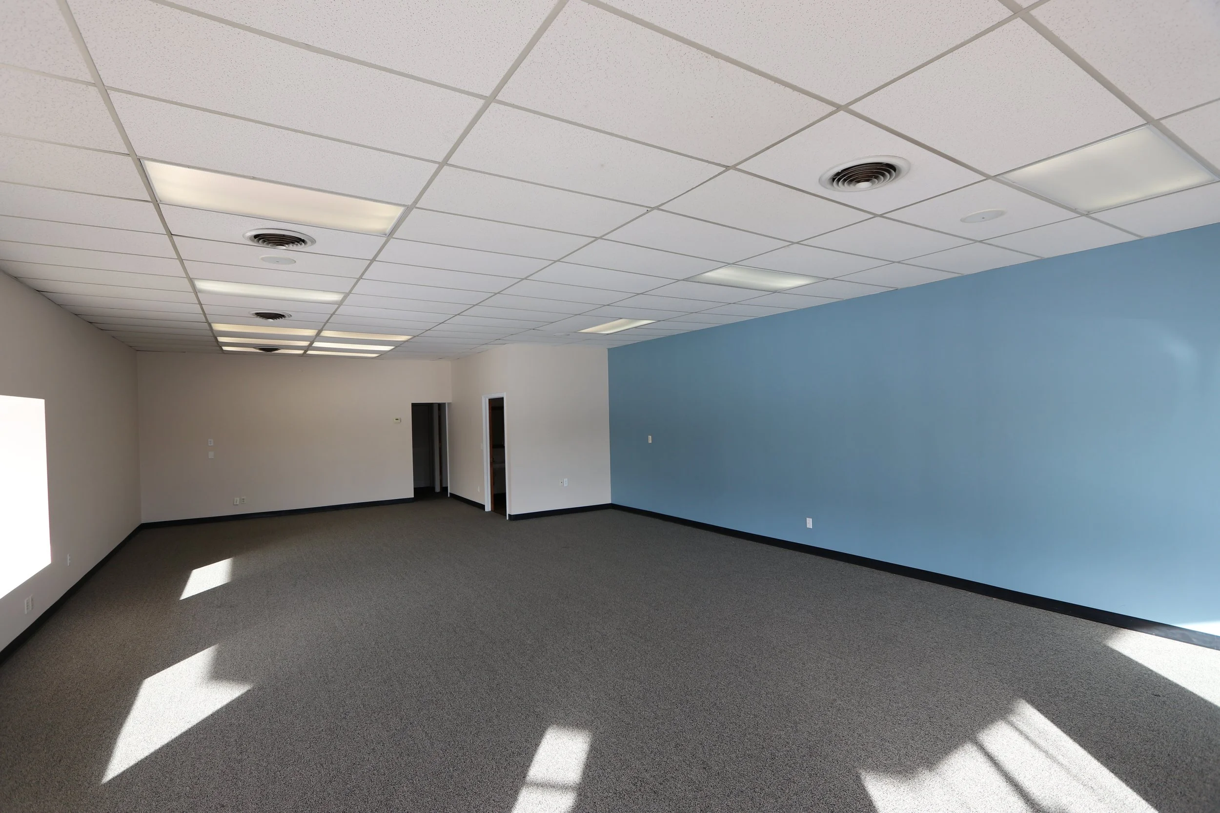 Empty office space with gray carpet, white and blue walls, fluorescent ceiling lights, and sunlight streaming through windows.