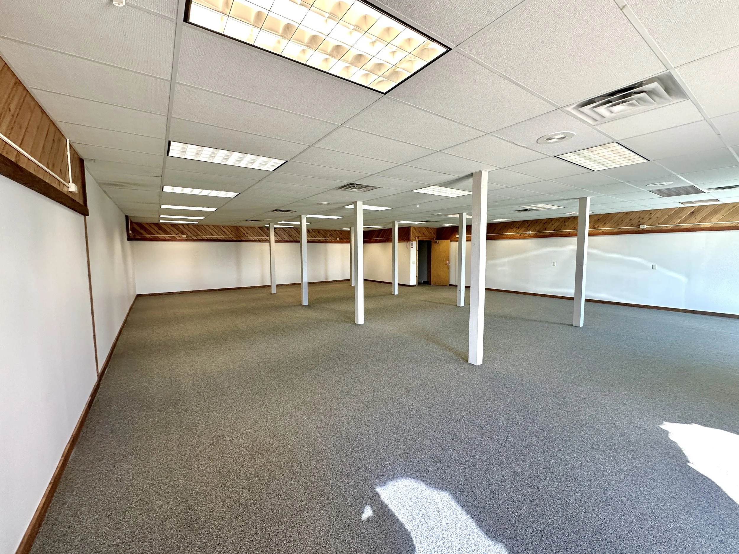 Empty commercial space with beige carpeted floor, white ceiling tiles with fluorescent lighting, wooden paneling along the upper part of the walls, white support columns, and a doorway in the back.