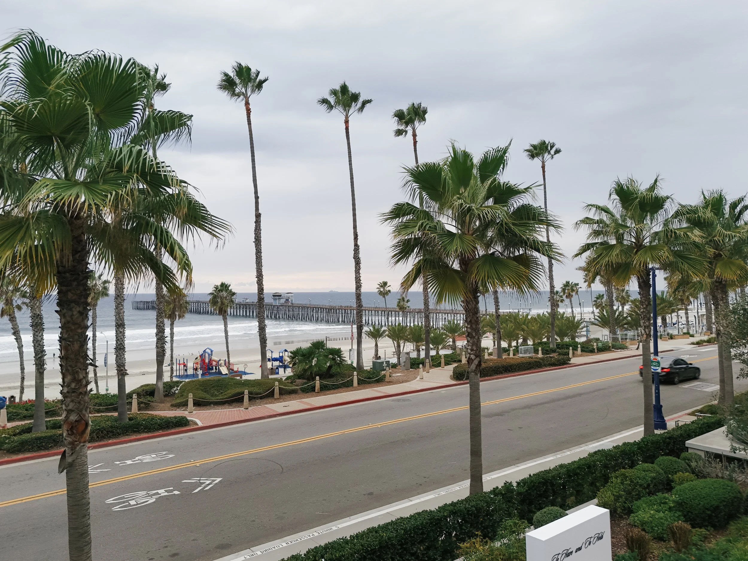 The Seabird Jan 2026 - Holly Sigafoos Photo-291.jpg