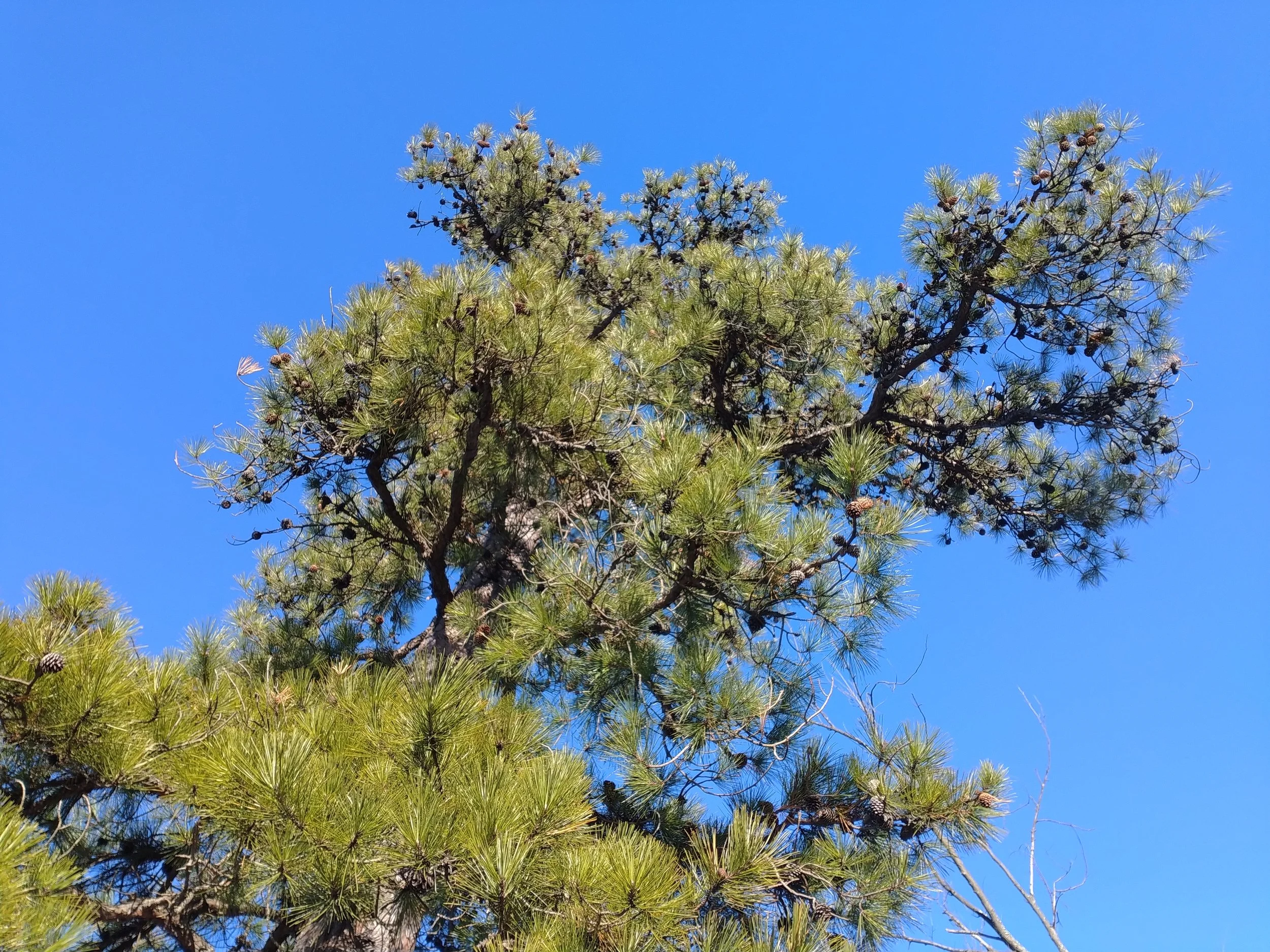 Winter 1 - Seasonal Retreats Collection Blank Greeting Card